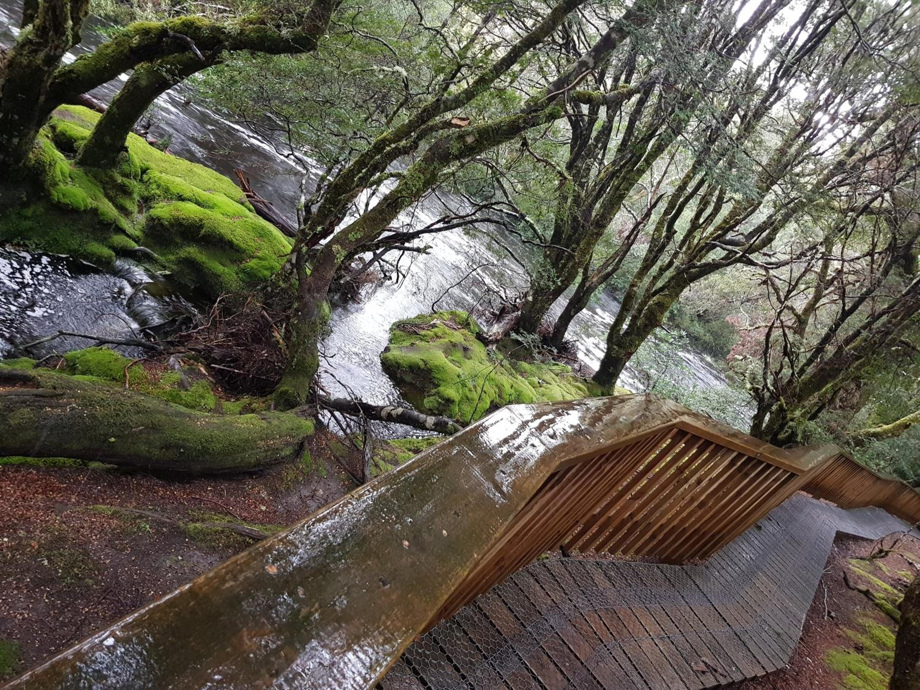 Cradle Alpine Retreat