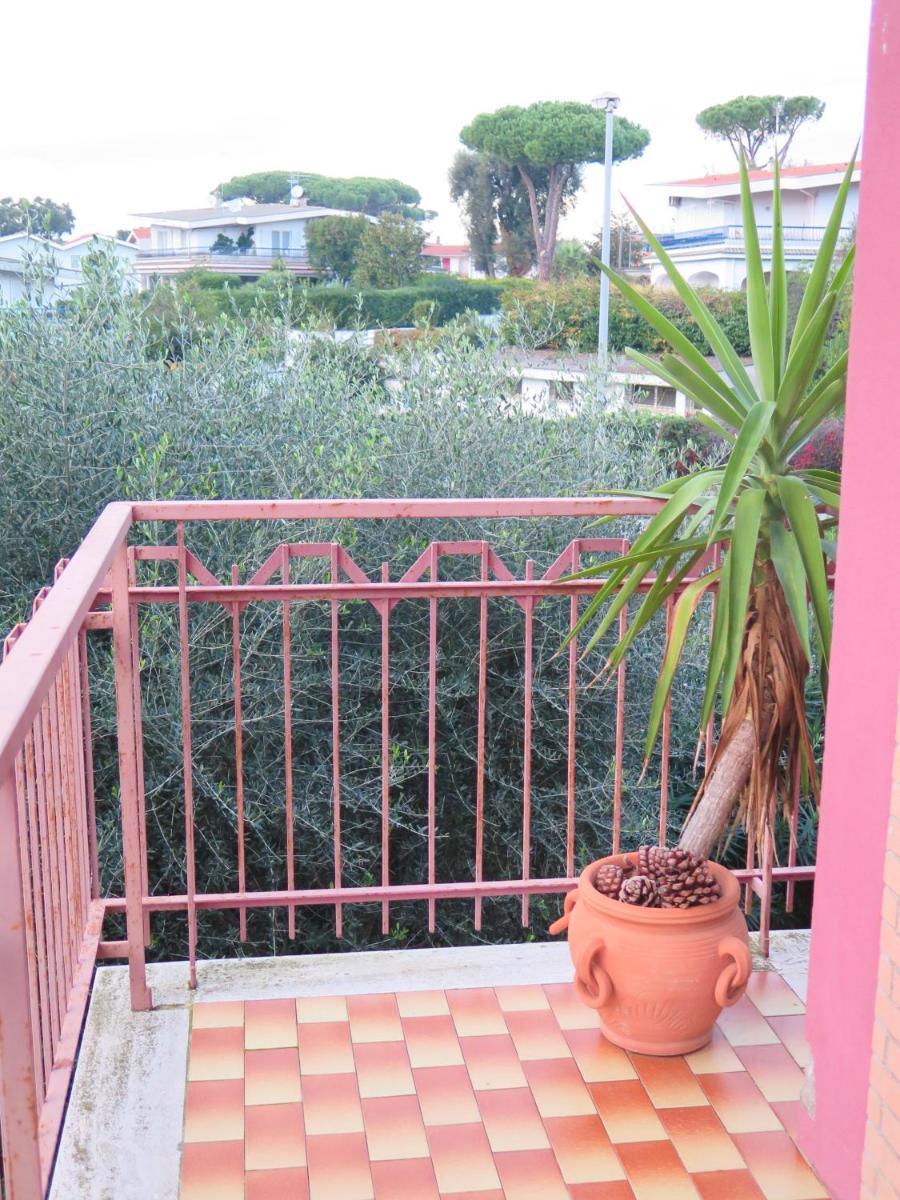 The Bright House photo 4