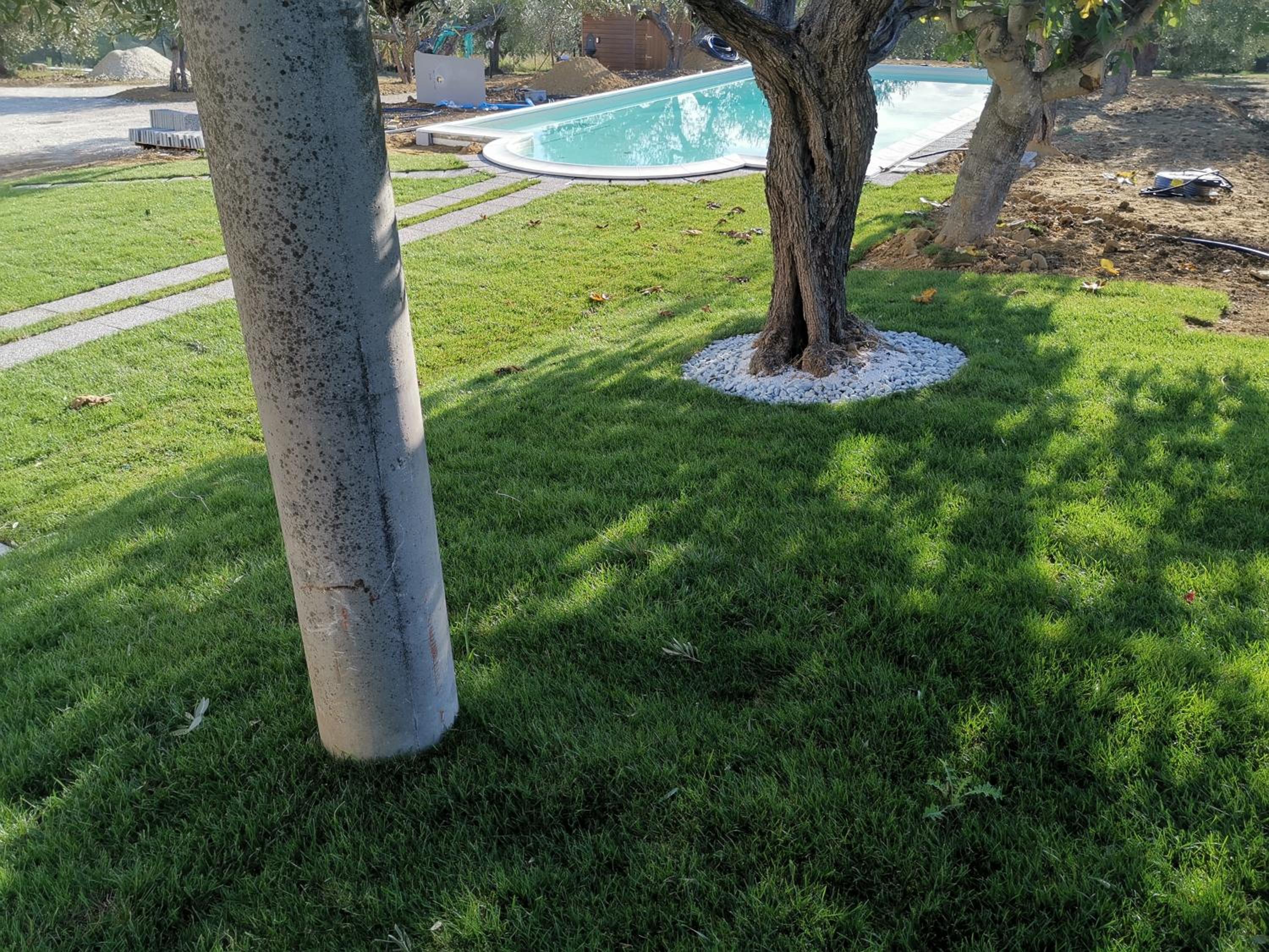 Photo 41