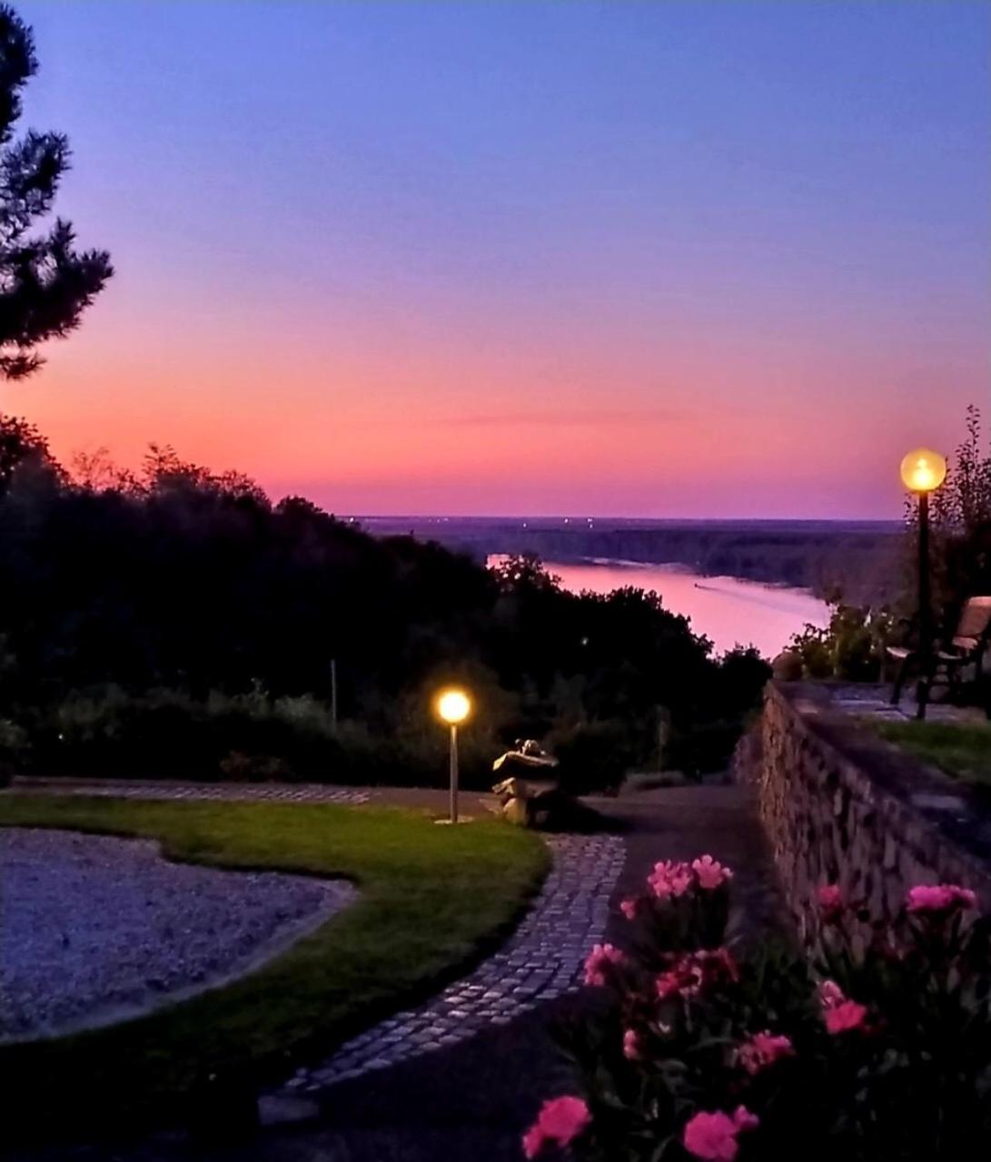 Zeleni horizont view 5