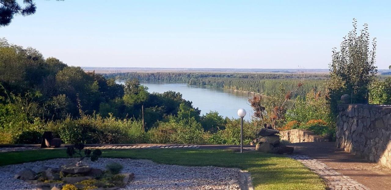Zeleni horizont view 4