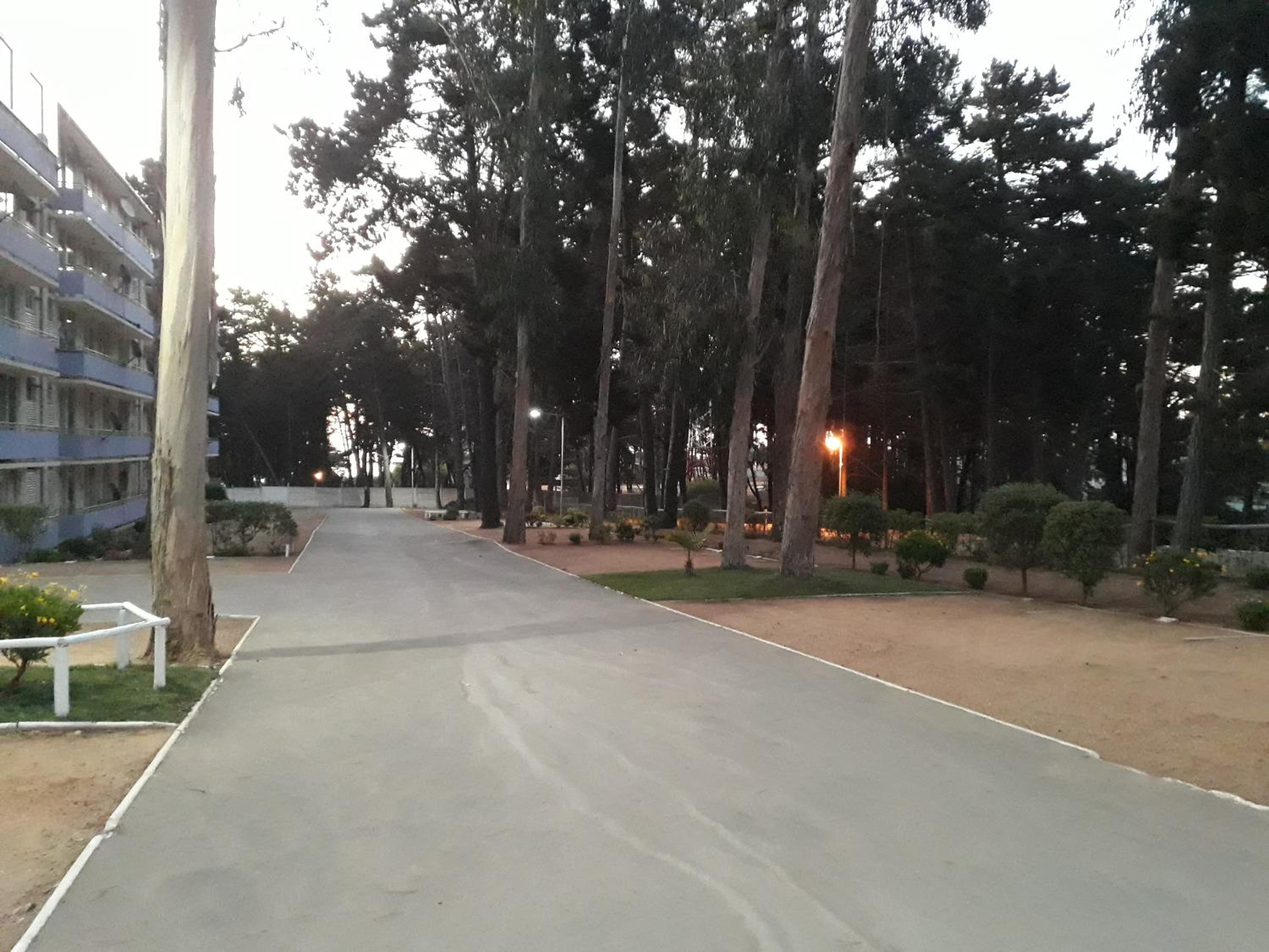 Photo 29