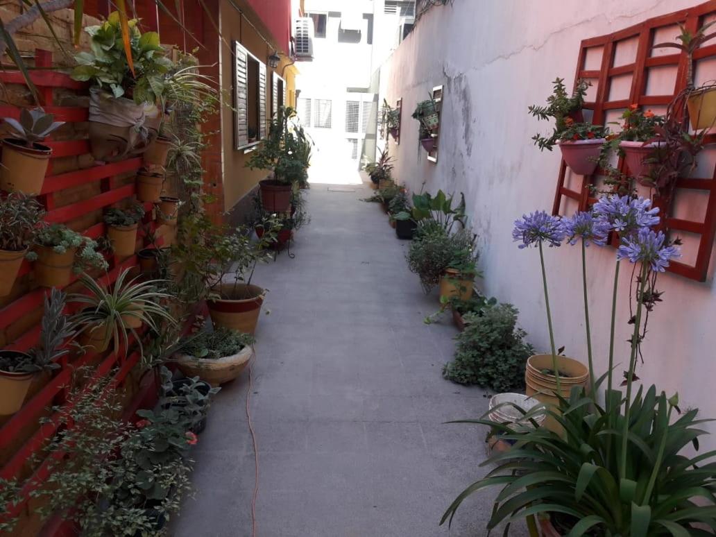 La Rojarilla