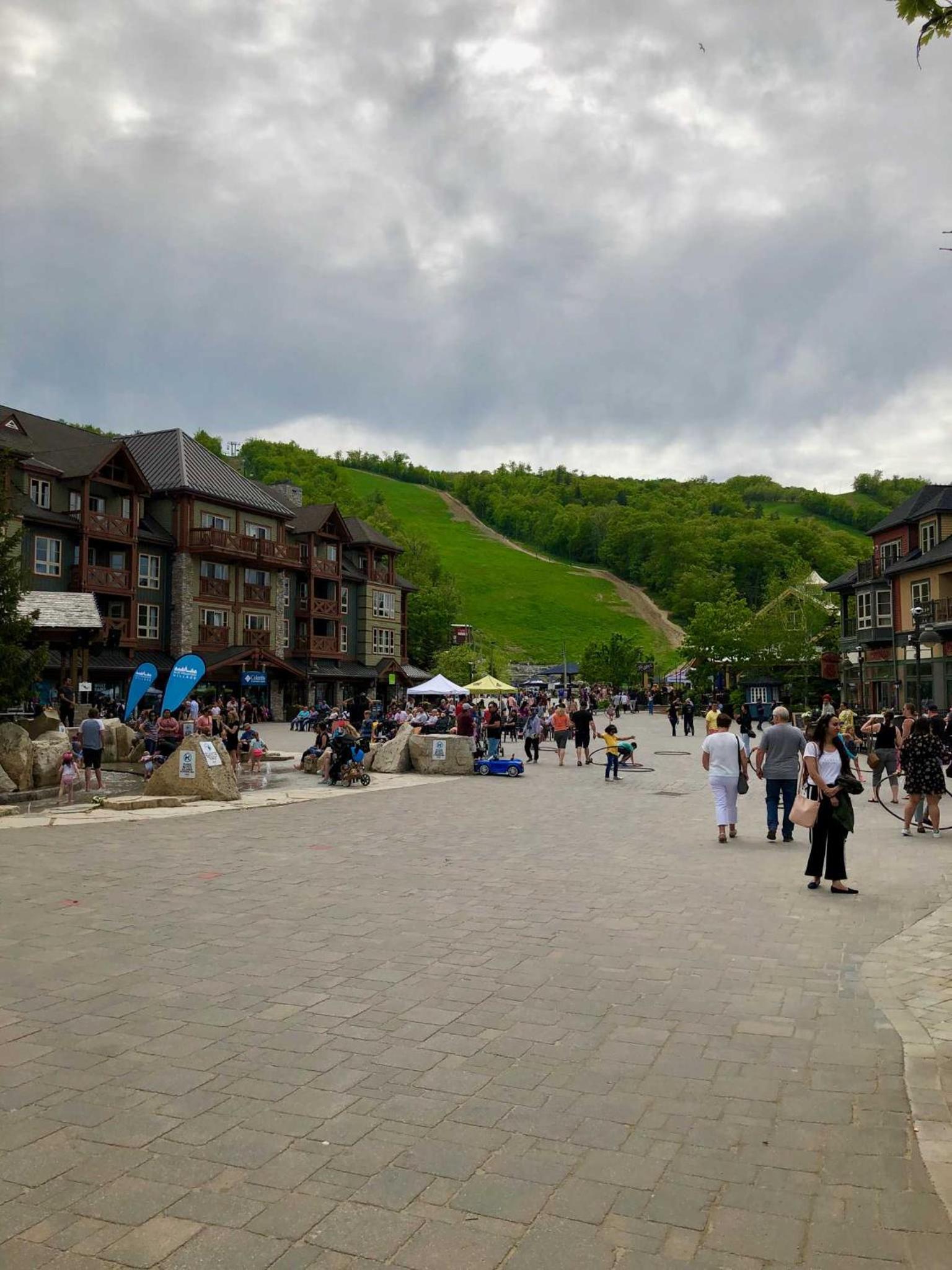 Mountainside Resort Condo at Blue