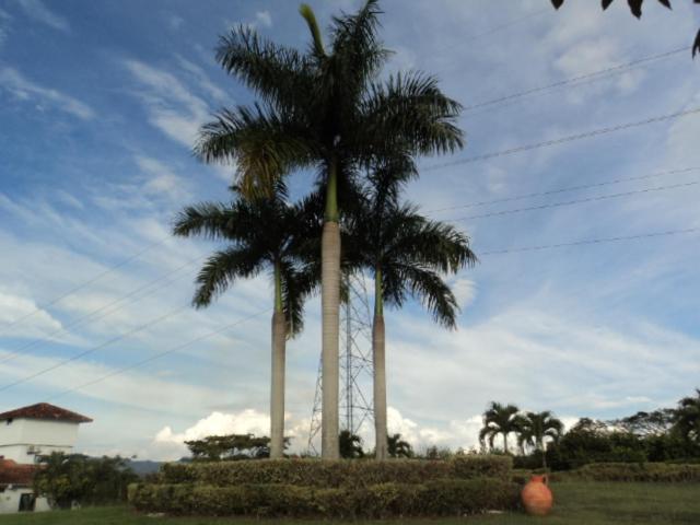 CASA CAMPESTRE LA CAMPIÑA LA VICTORIA Valle del Cauca ESPACIO COMPLETO