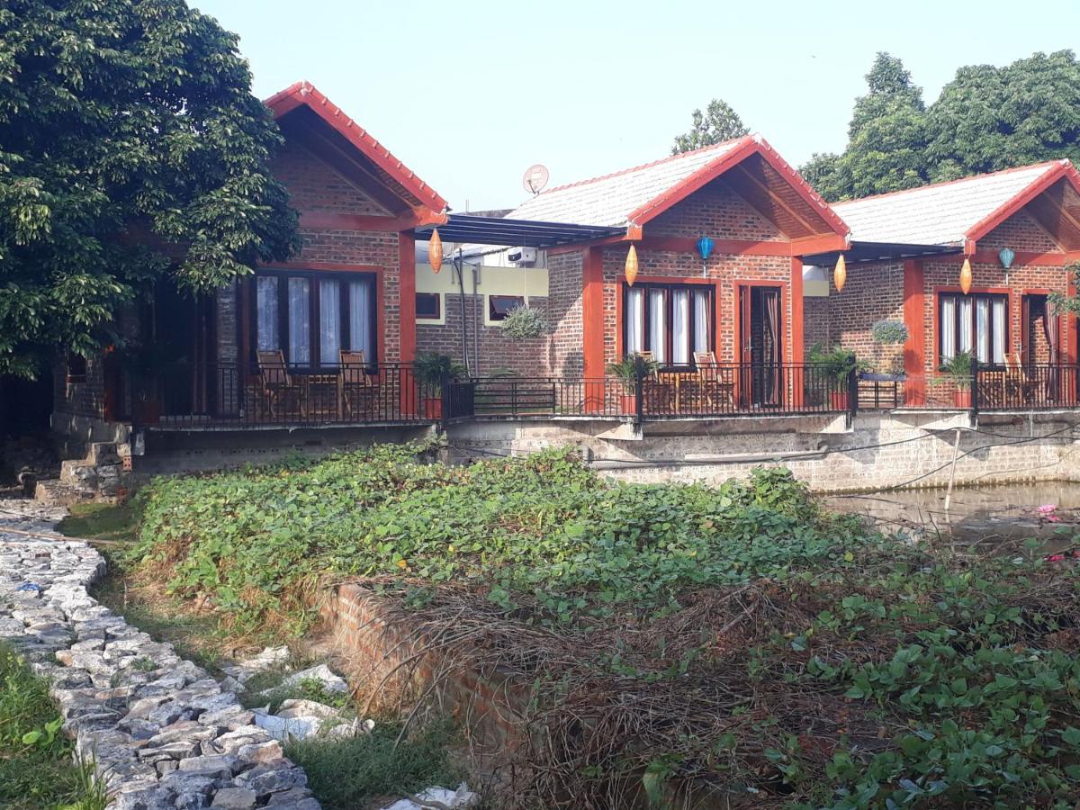 Chez Hiep Tam Coc Homestay view 5