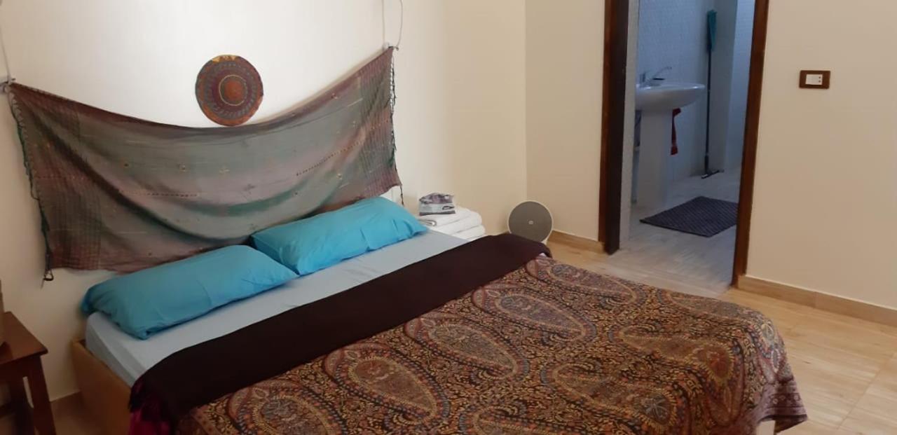 Habibi Nubian Guest House-Nubian Hospitality