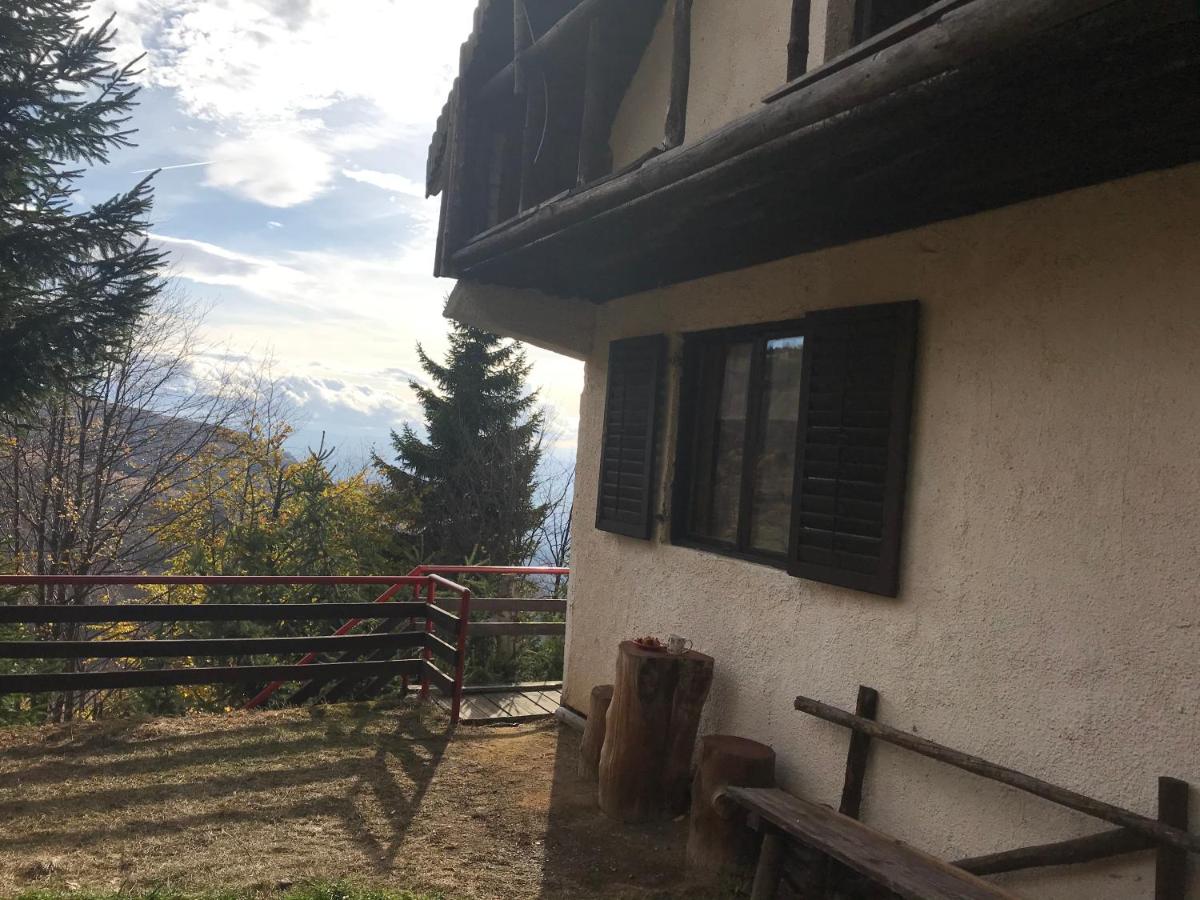 Photo 41