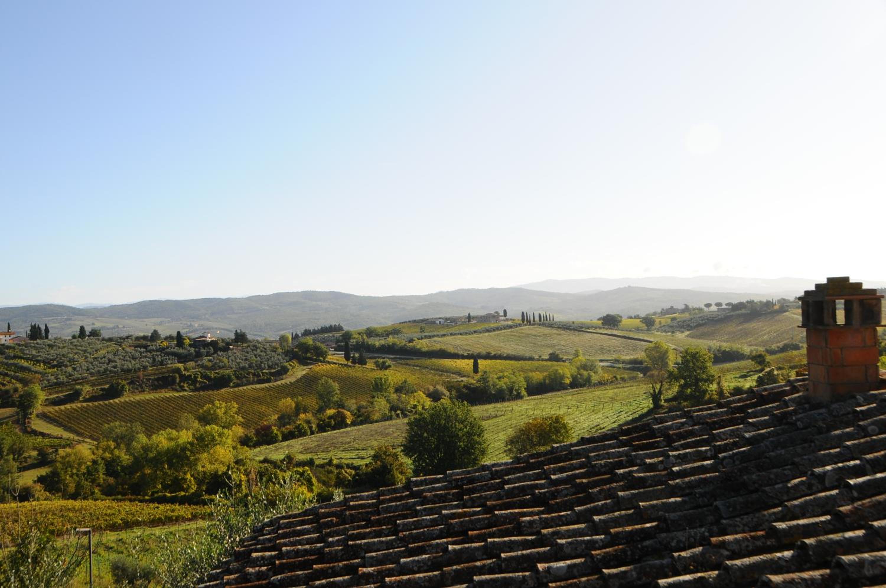 Poggio Alle Lame