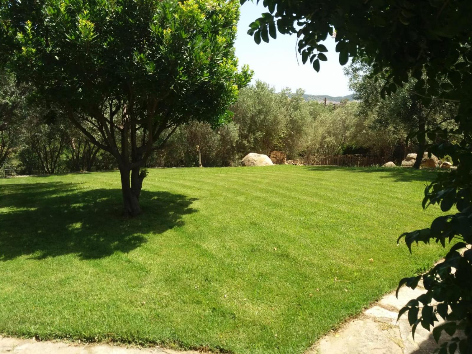 other