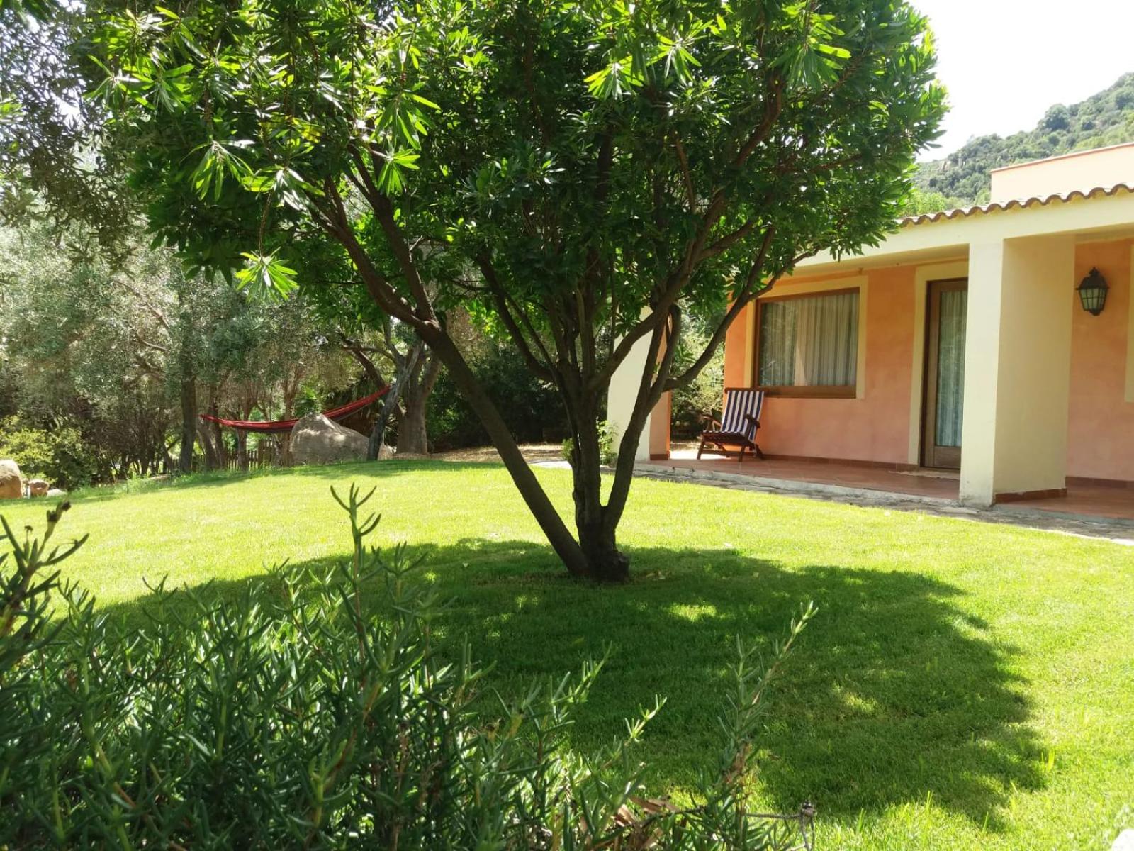 villa rubia view 5