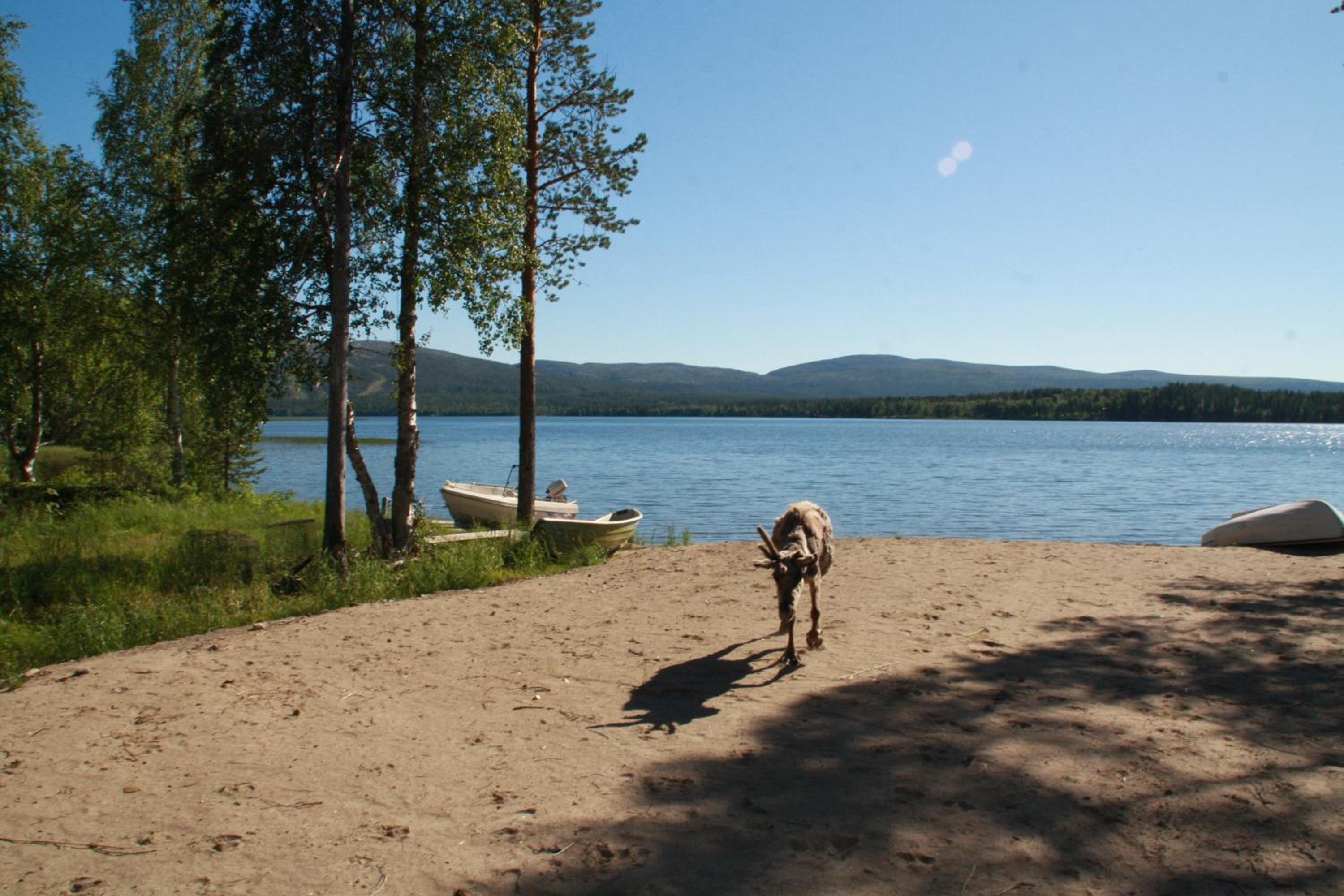 Lucky Lodge view 4