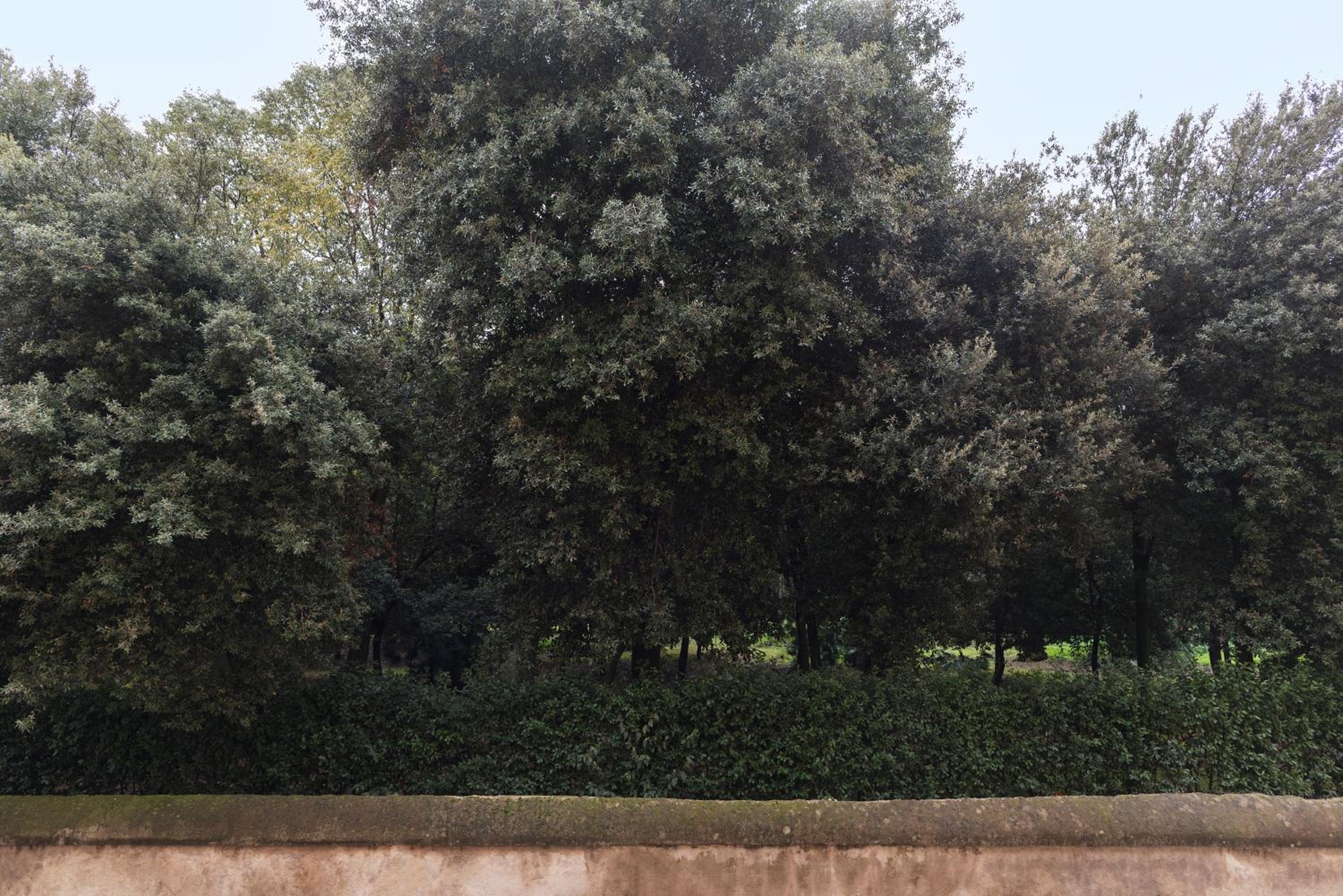 GuestHost - Ad un passo da Villa Borghese Apartment