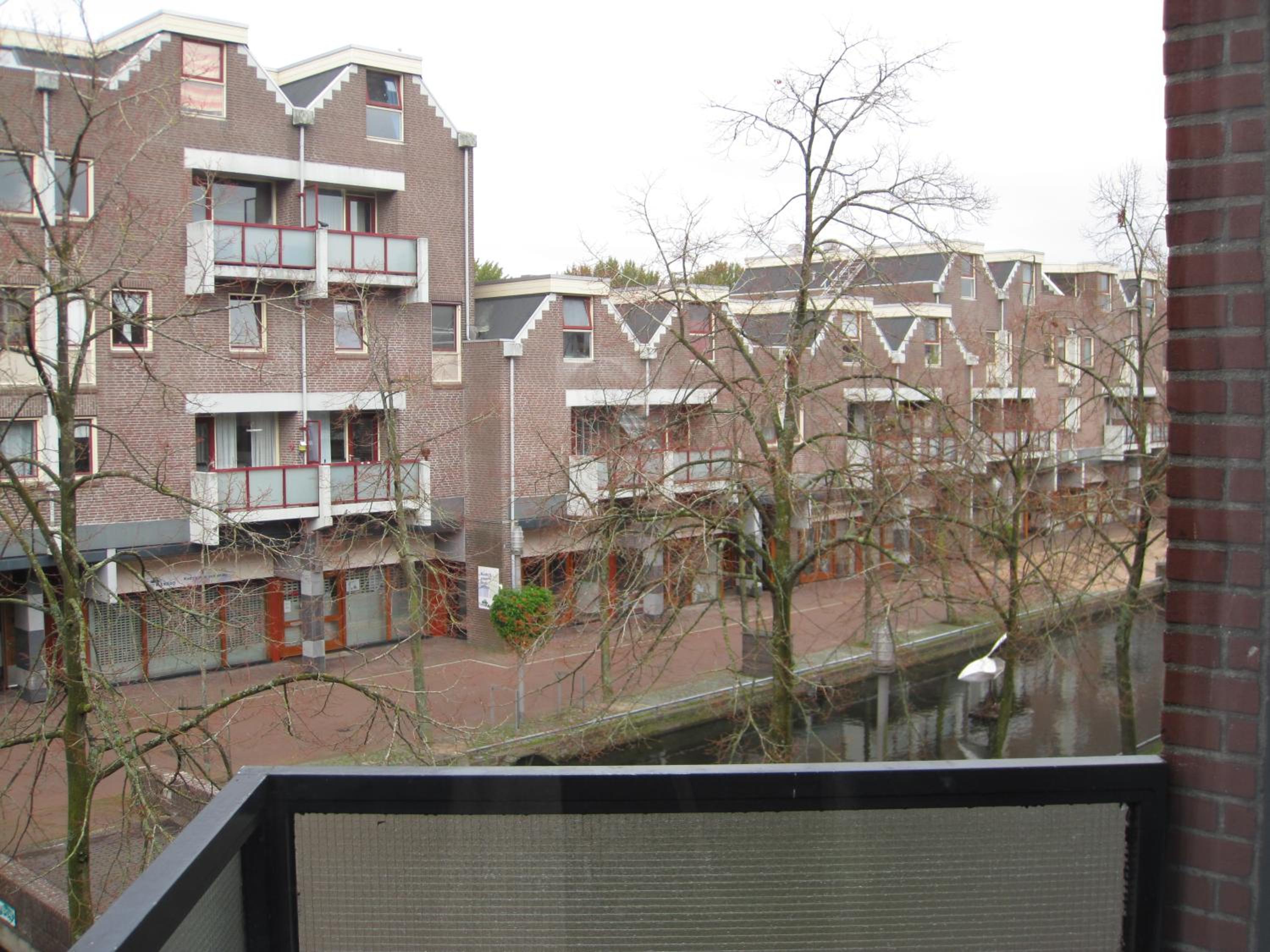 Photo 49