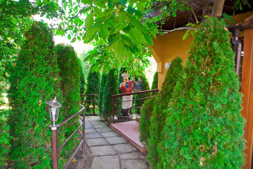 Casa Bazna