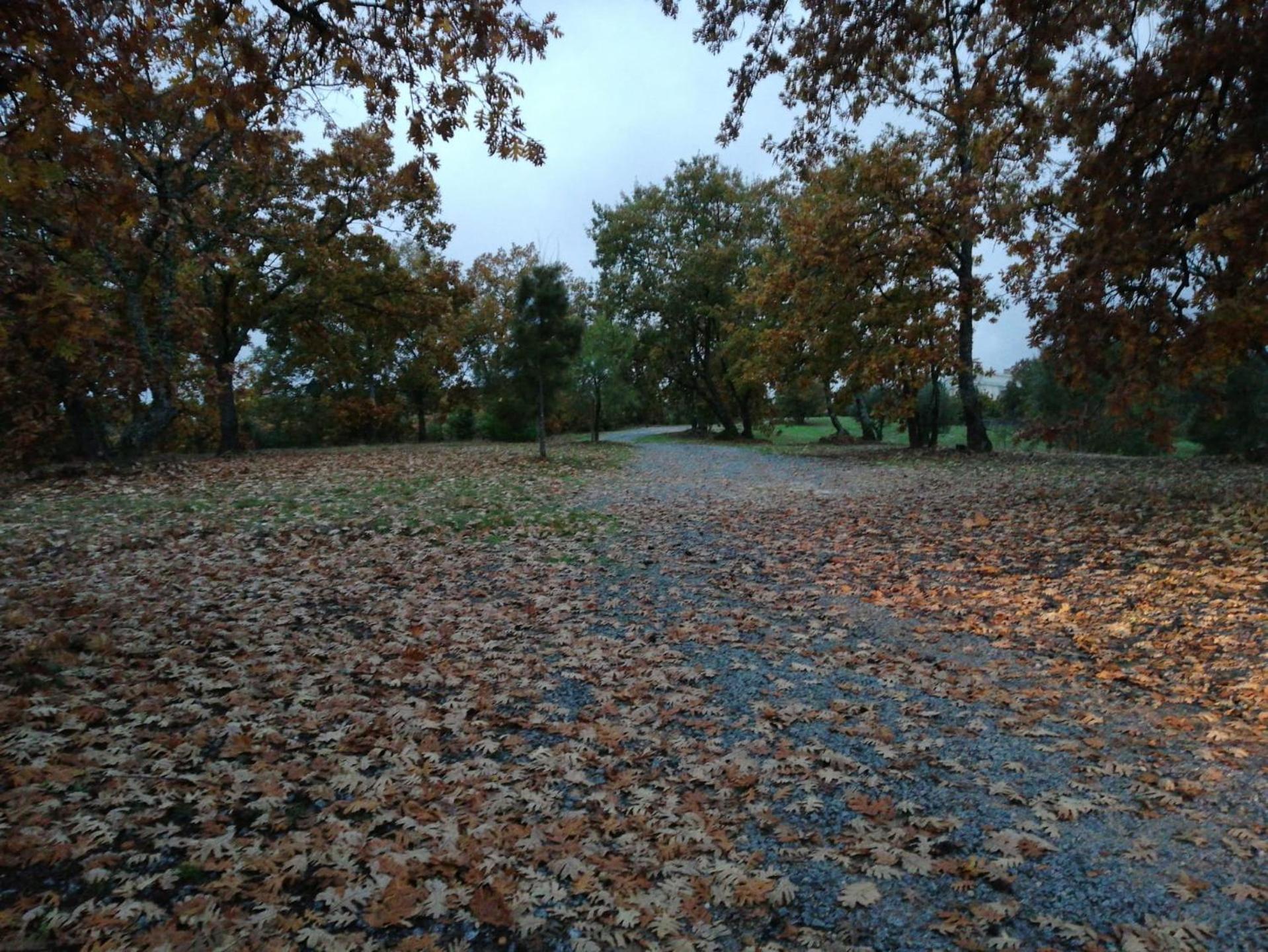 Photo 37