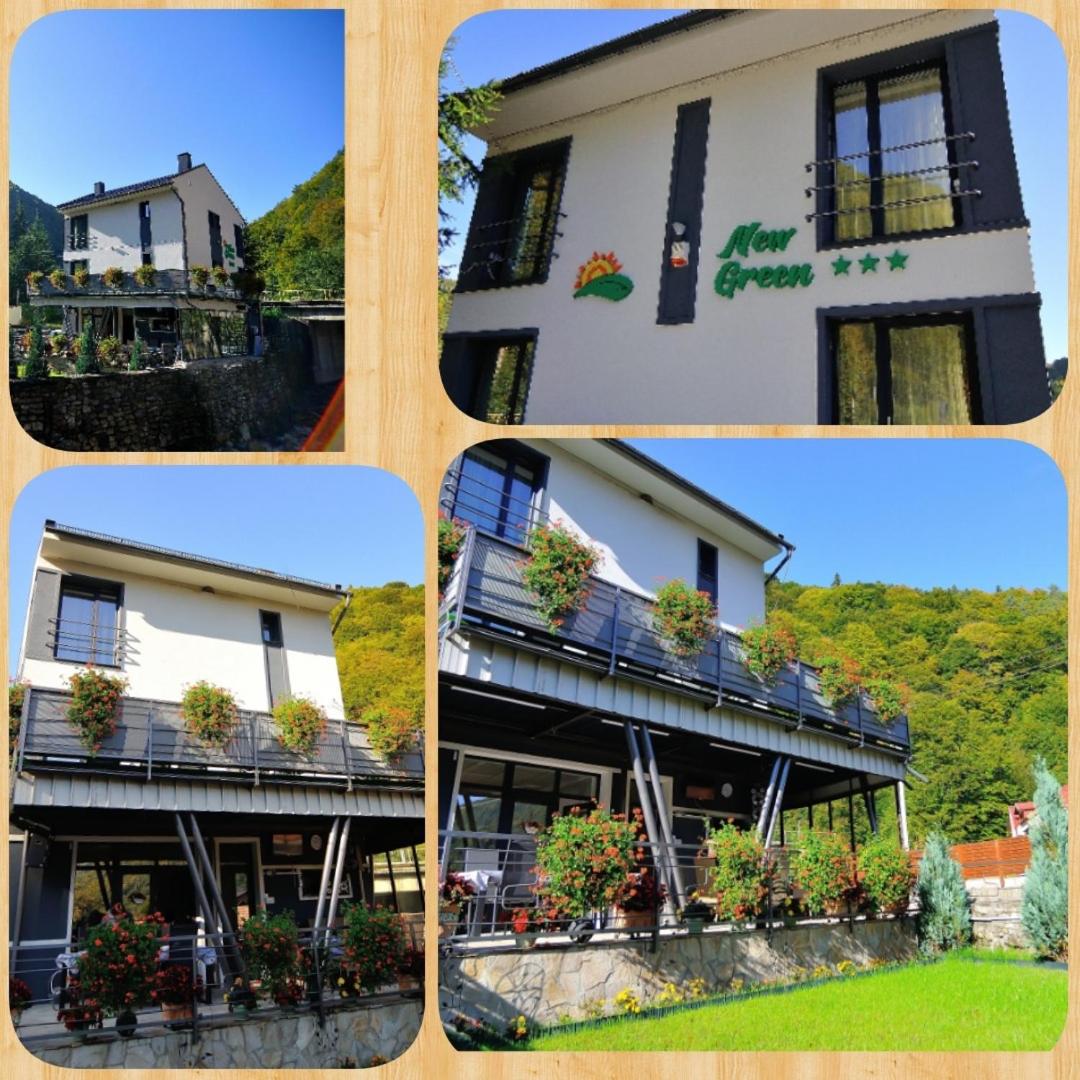 New Green view 5