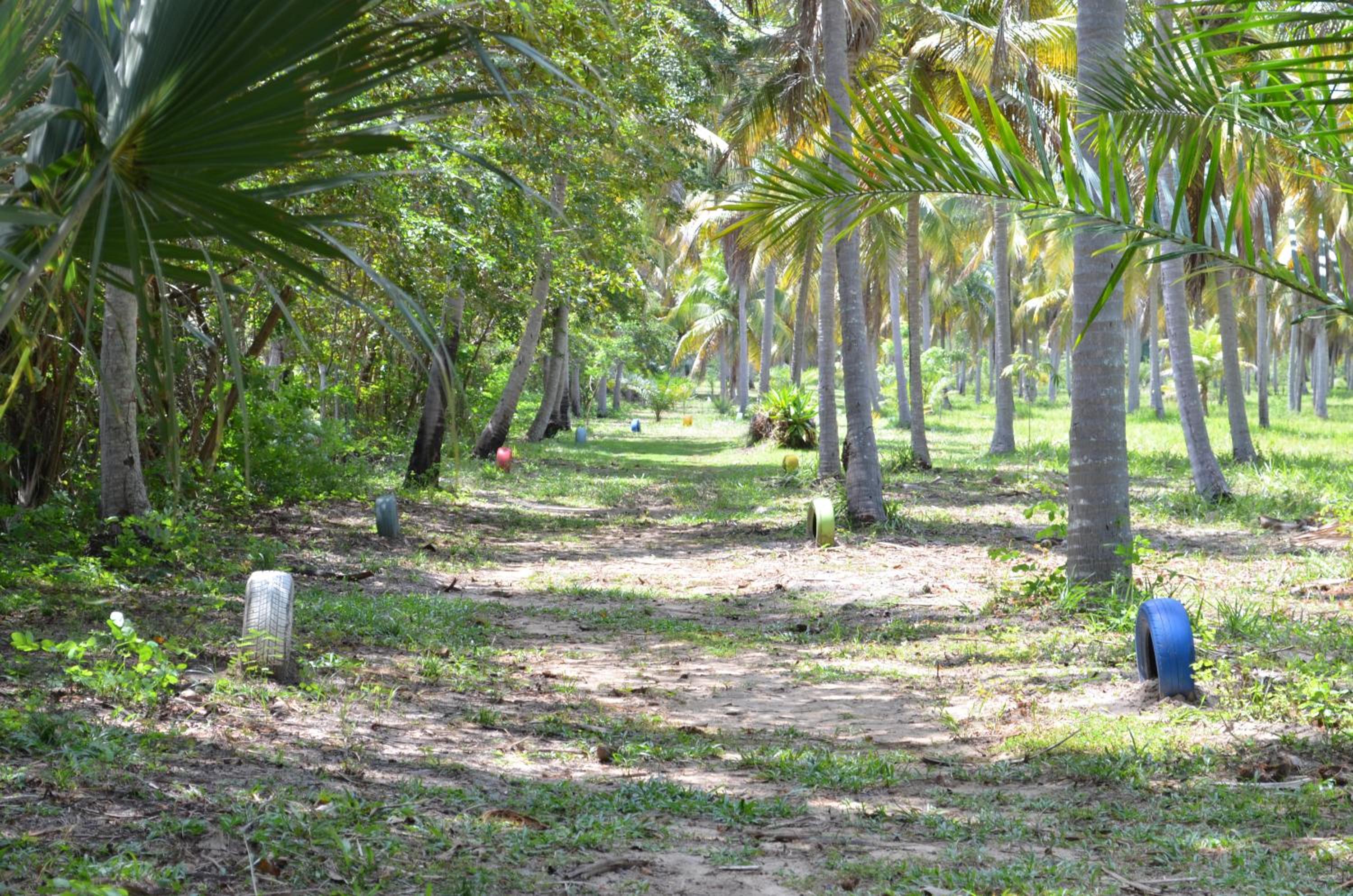 Eco Pousada Paraíso dos Coqueirais