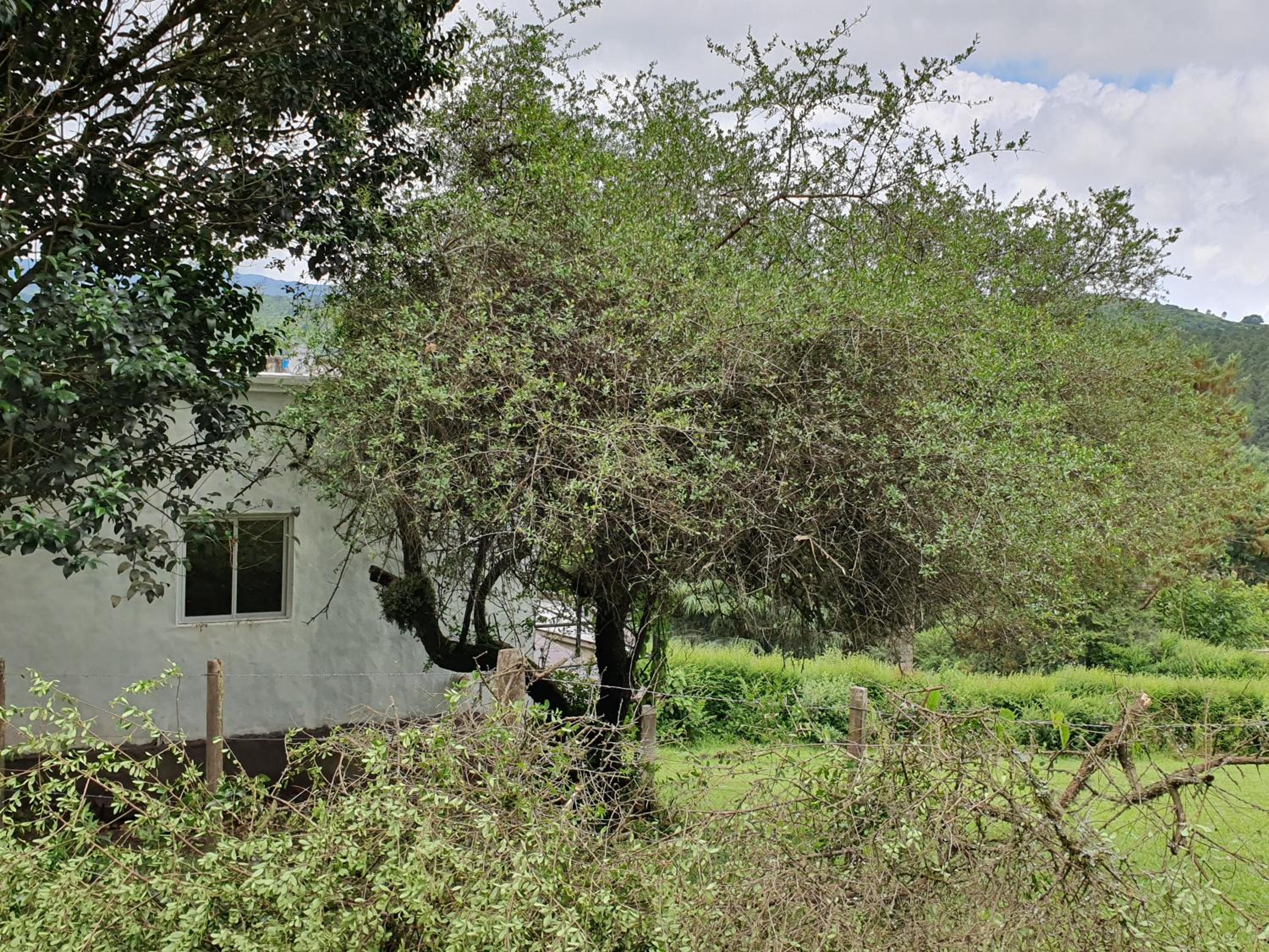 Casas de Raco