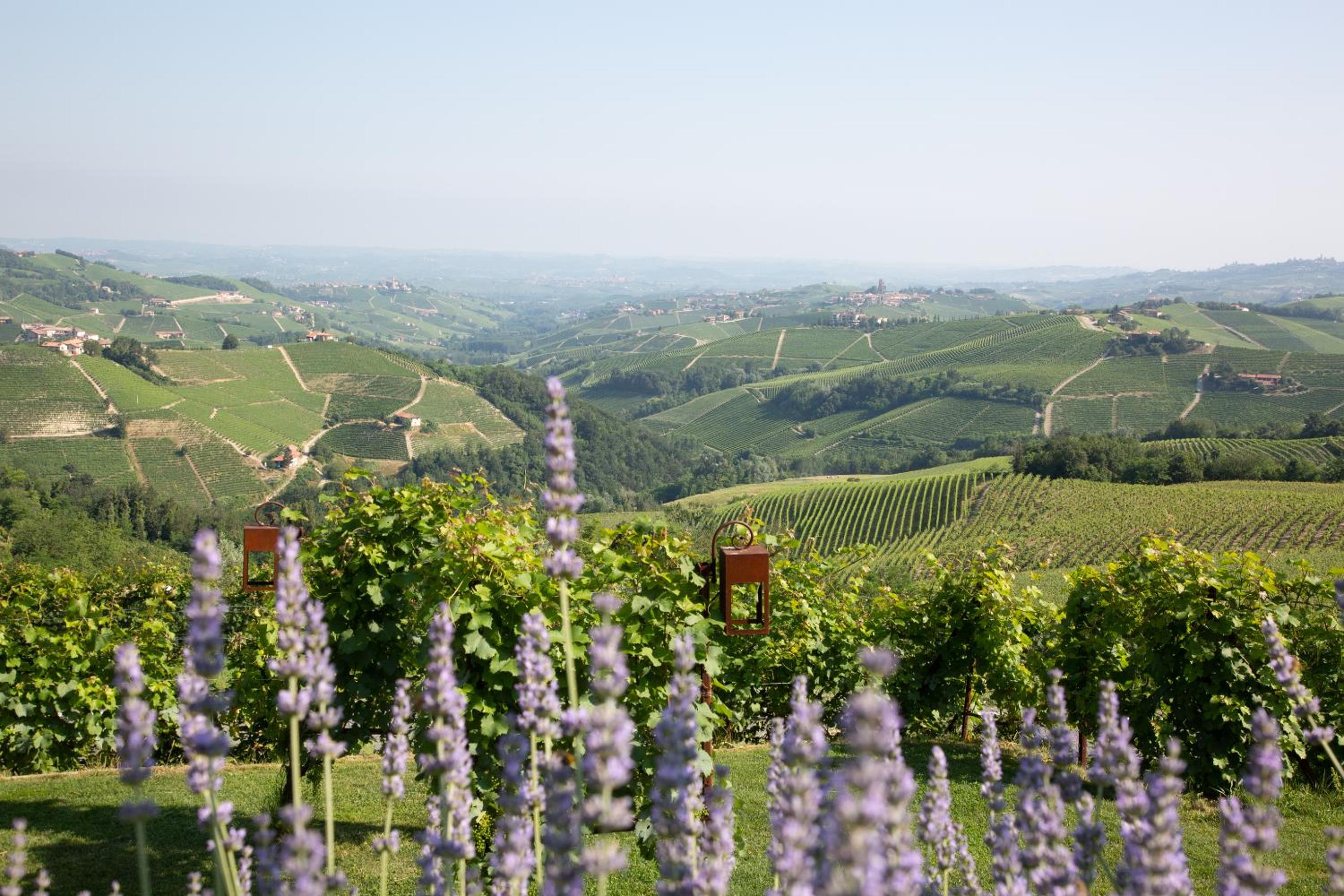 Agriturismo La Torricella