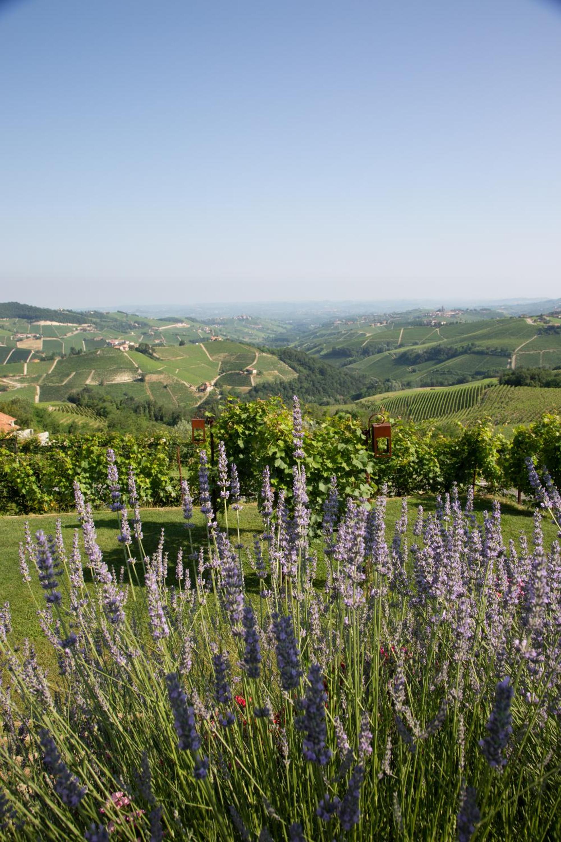 Agriturismo La Torricella