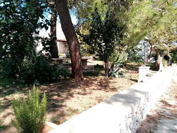 Masseria chianca photo 3
