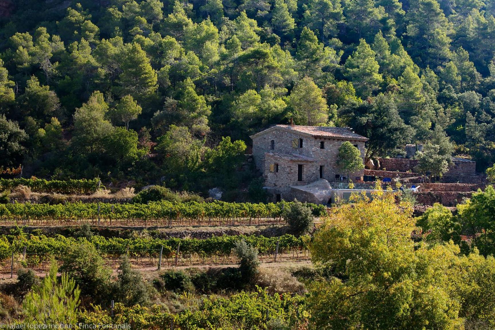 Les Quimeres view 2