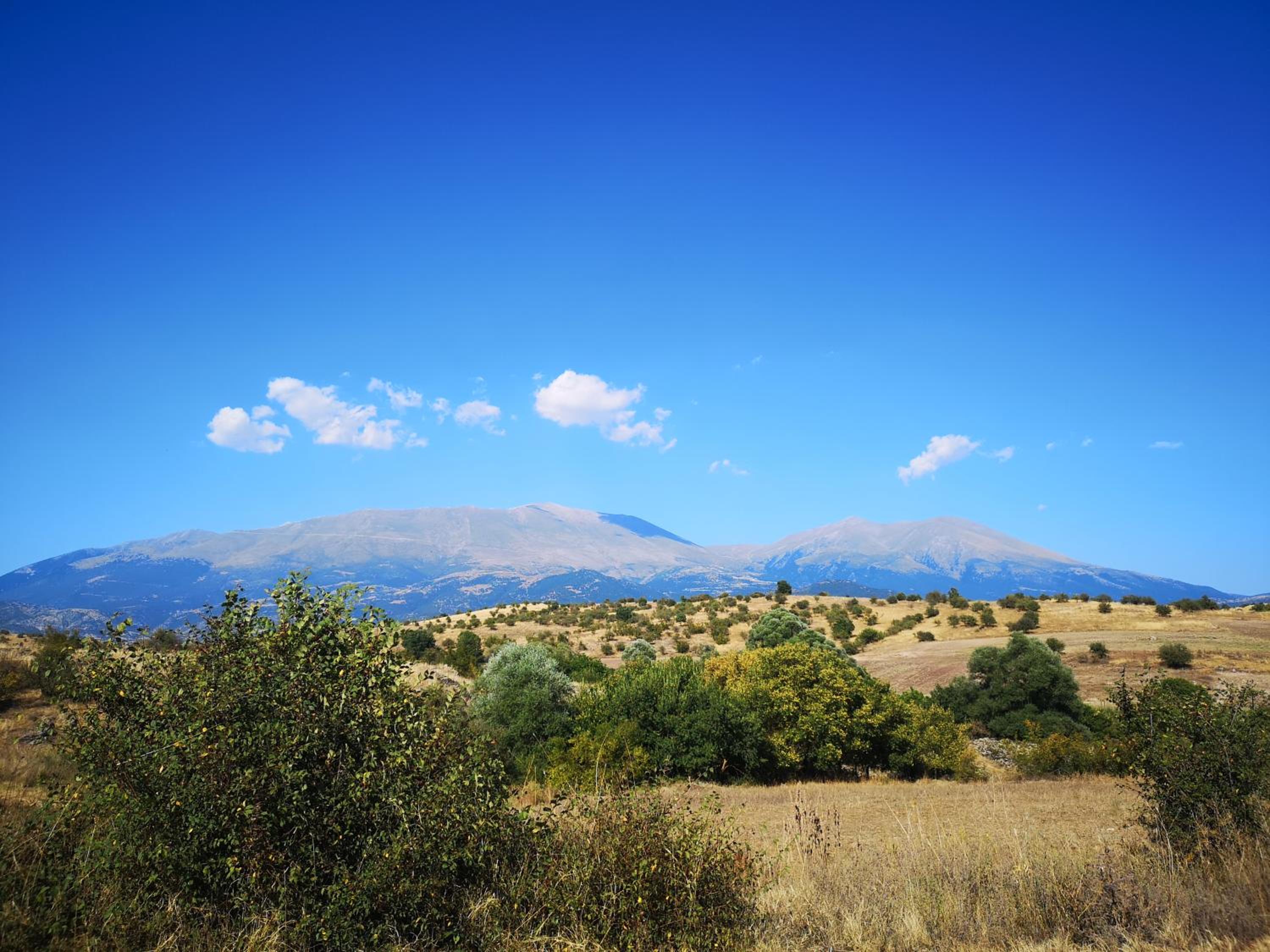 Photo 45