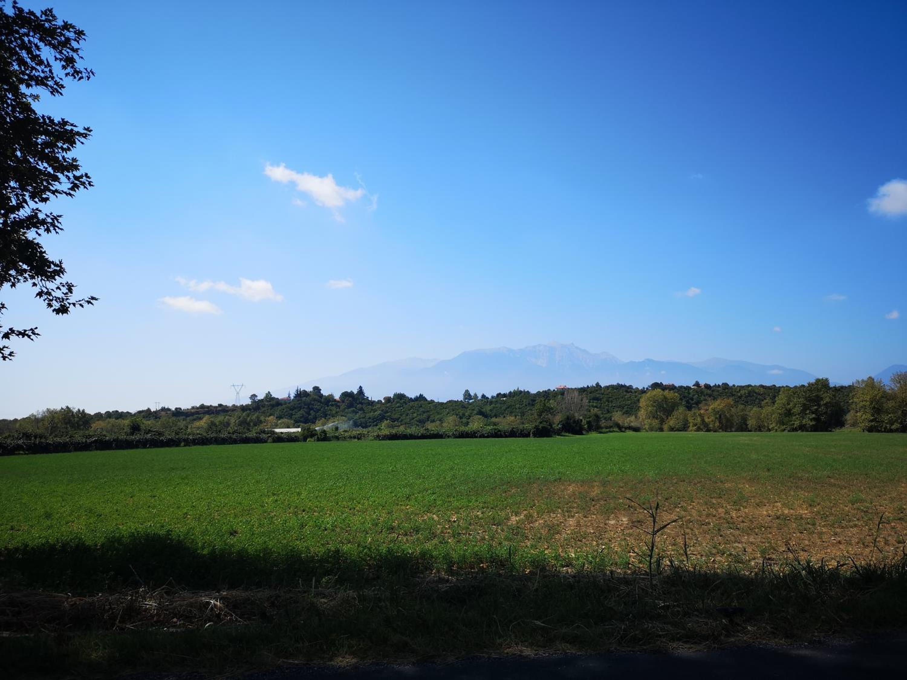 Photo 44