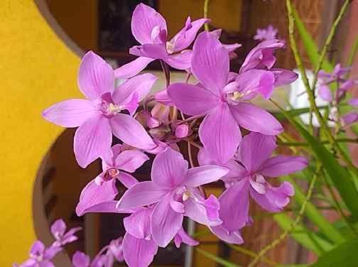 Photo 62