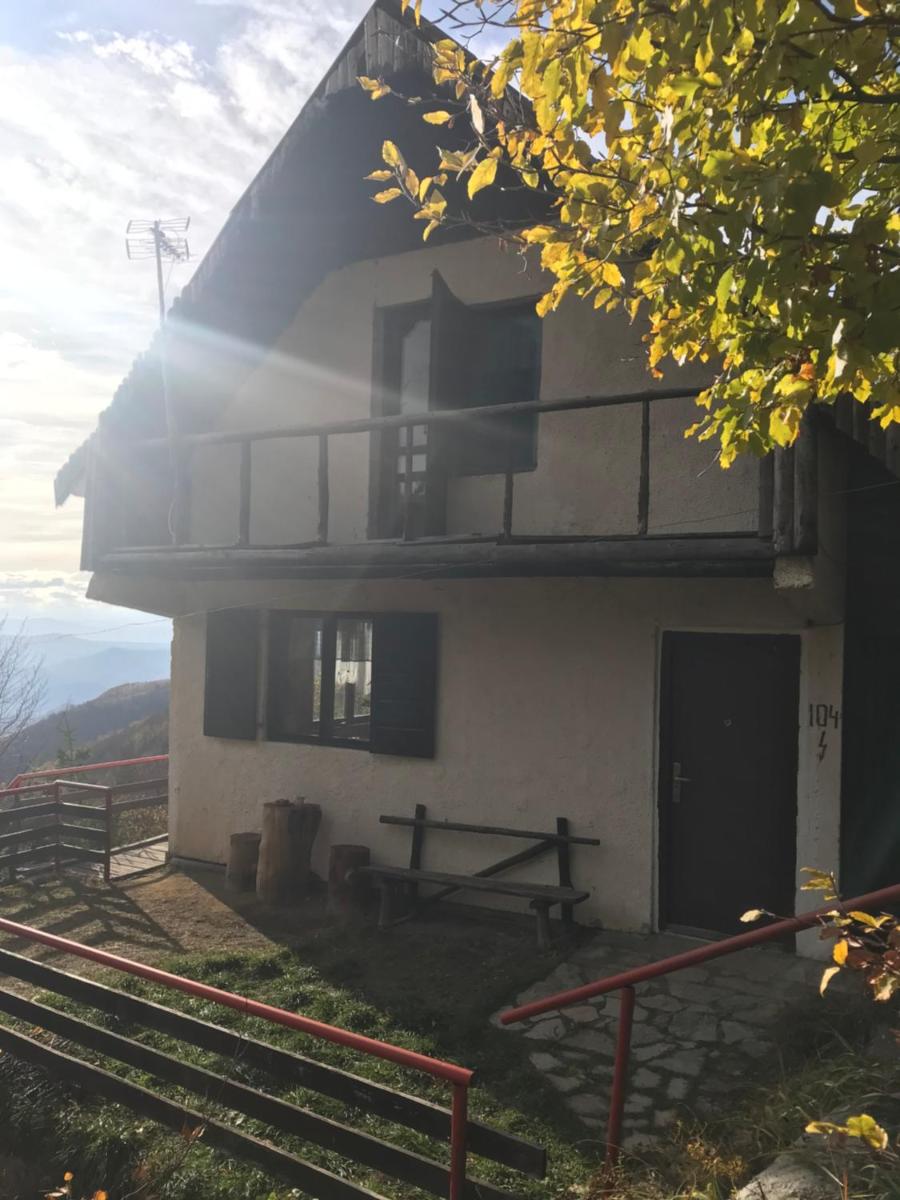 Photo 19