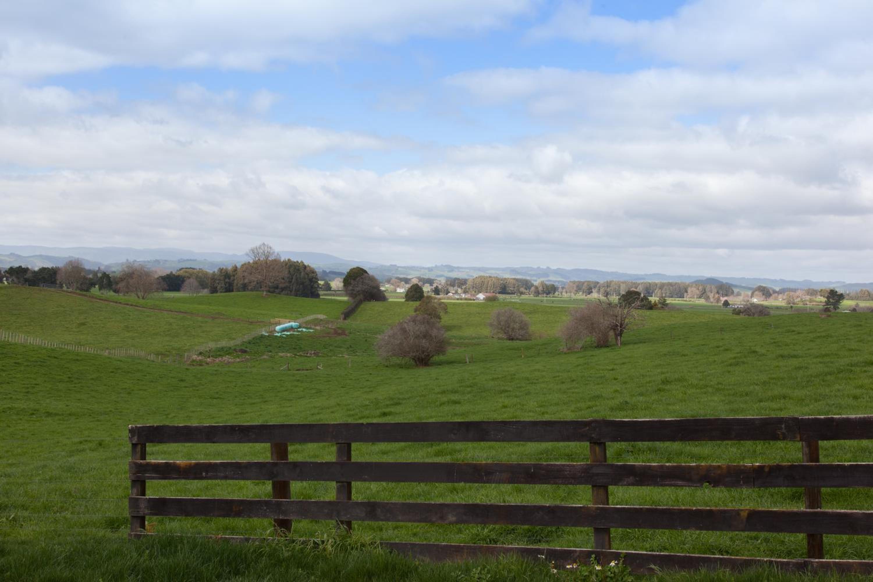 Otorohanga & Waitomo Motels