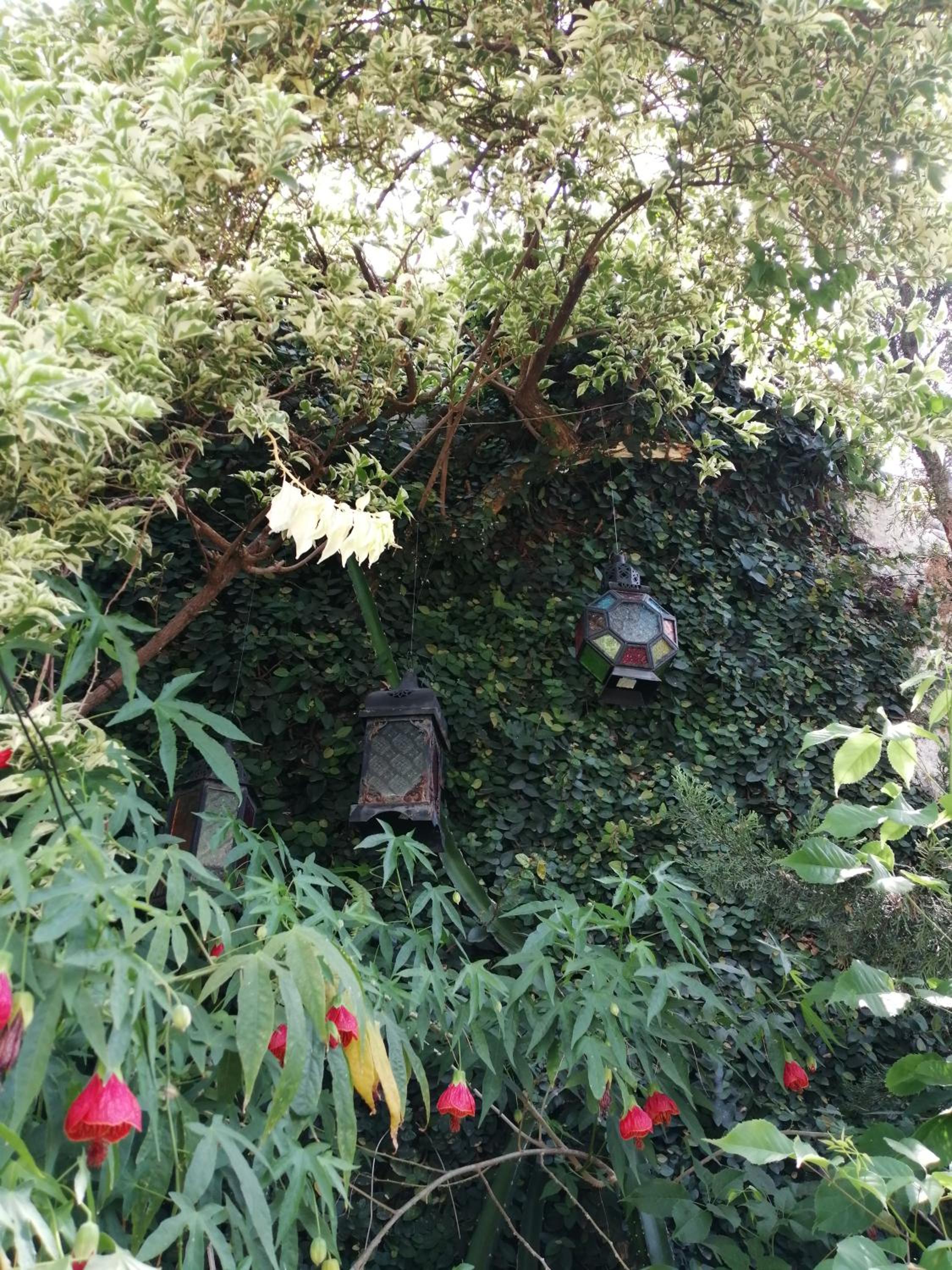 Photo 38