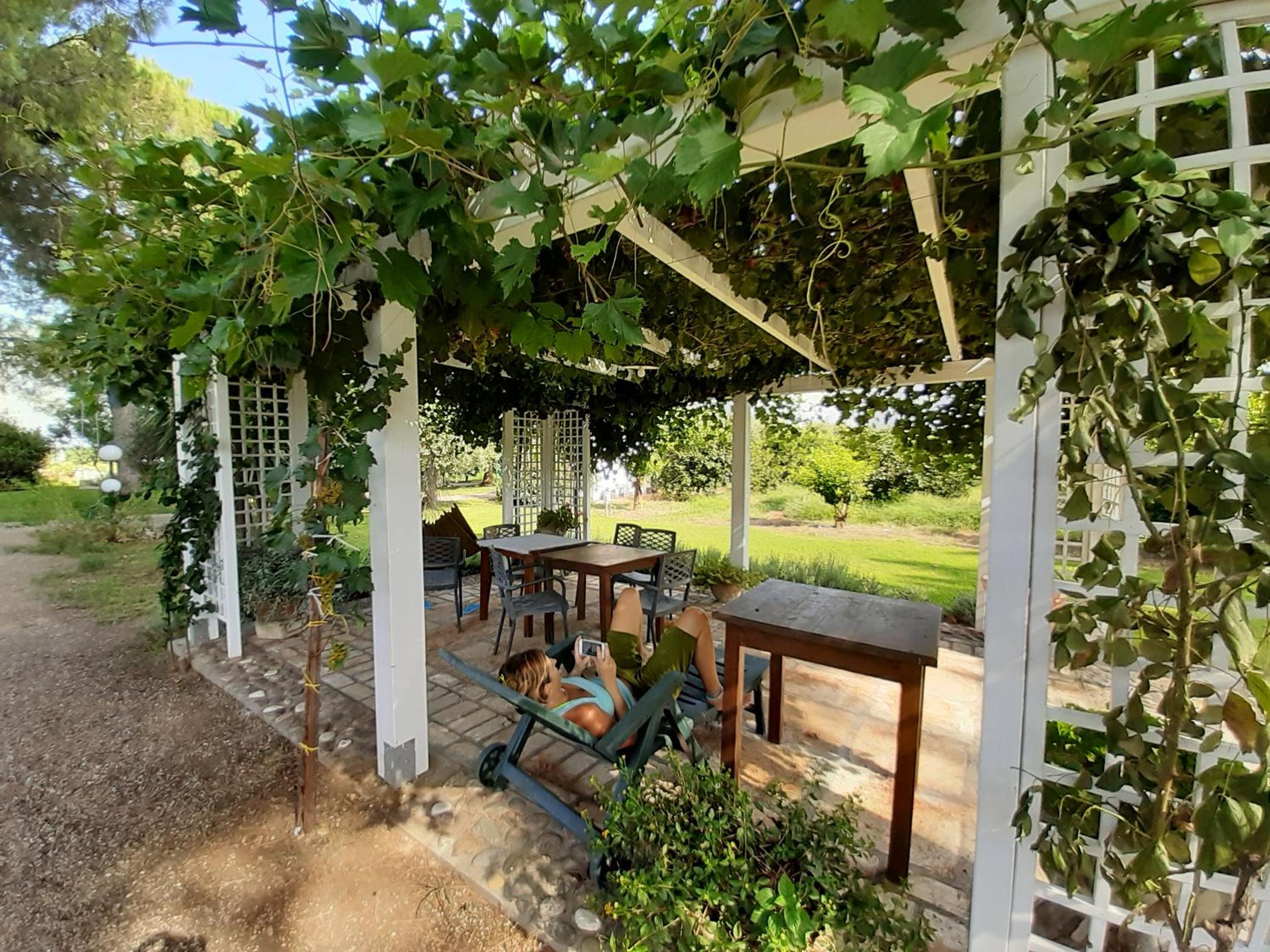 Agriturismo La Stornara, Petfriendly & EV Friendly