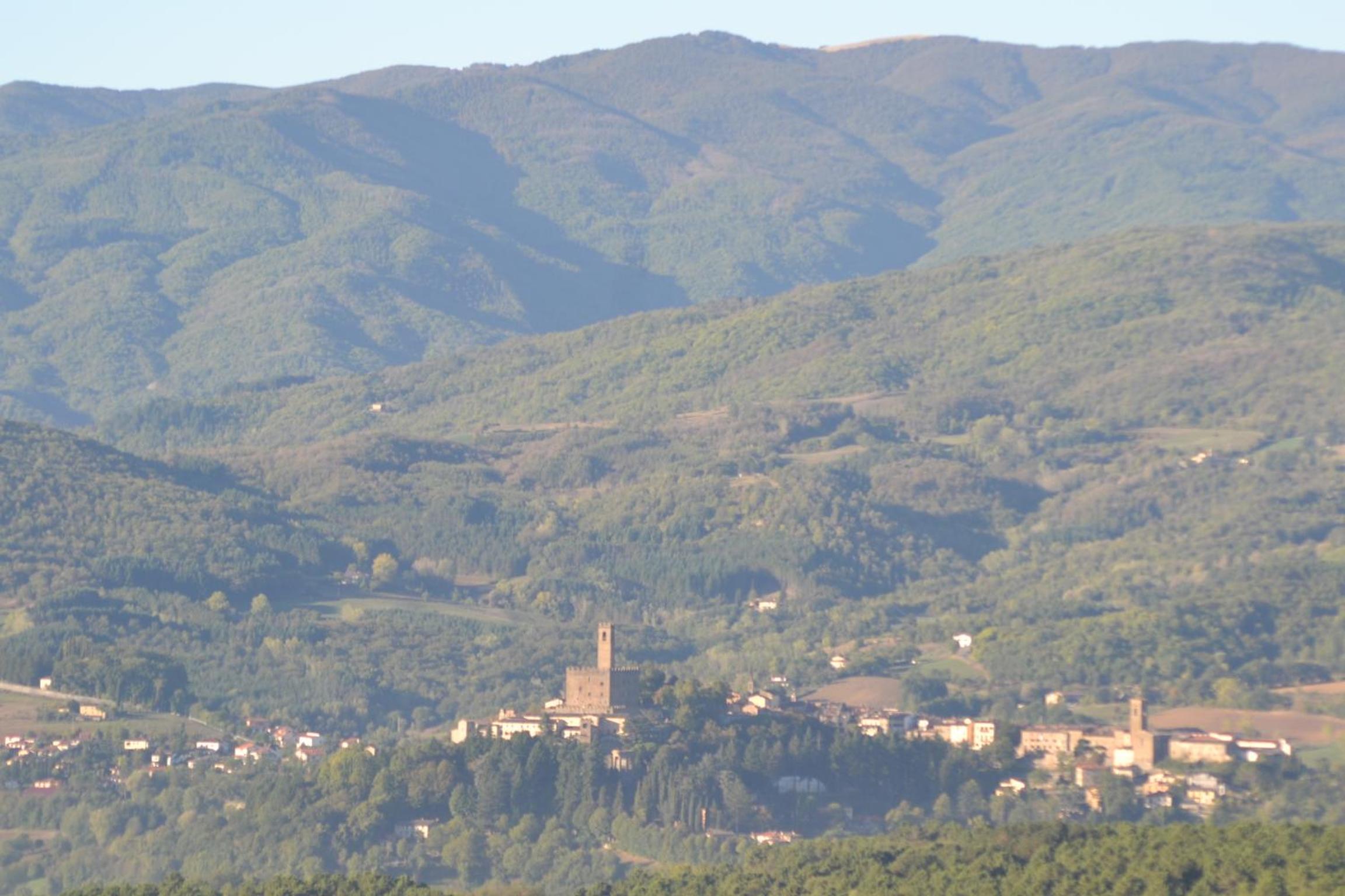 Fattoria di Belvedere