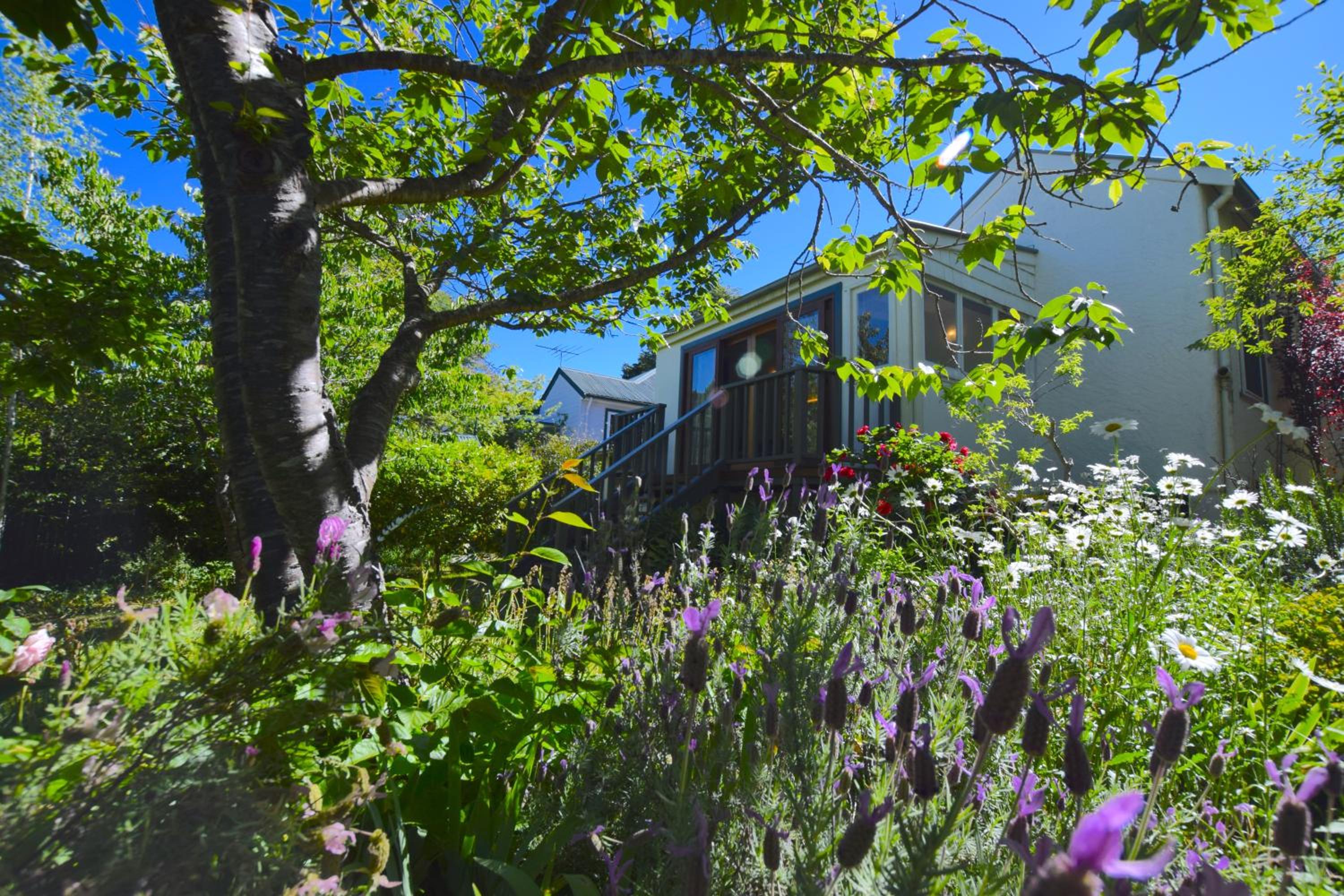 Mintie Cottage on Leura Mall