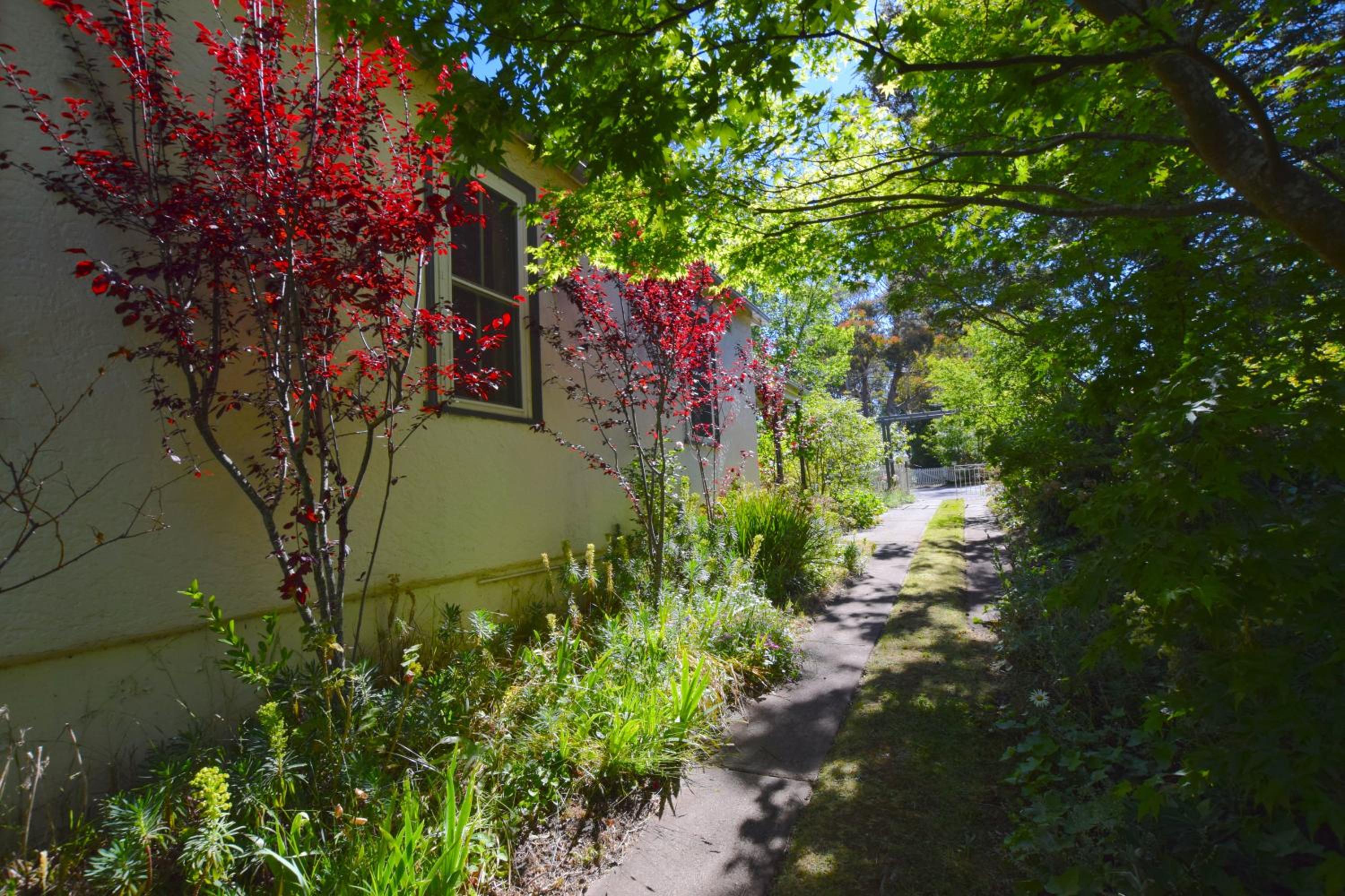 Mintie Cottage on Leura Mall