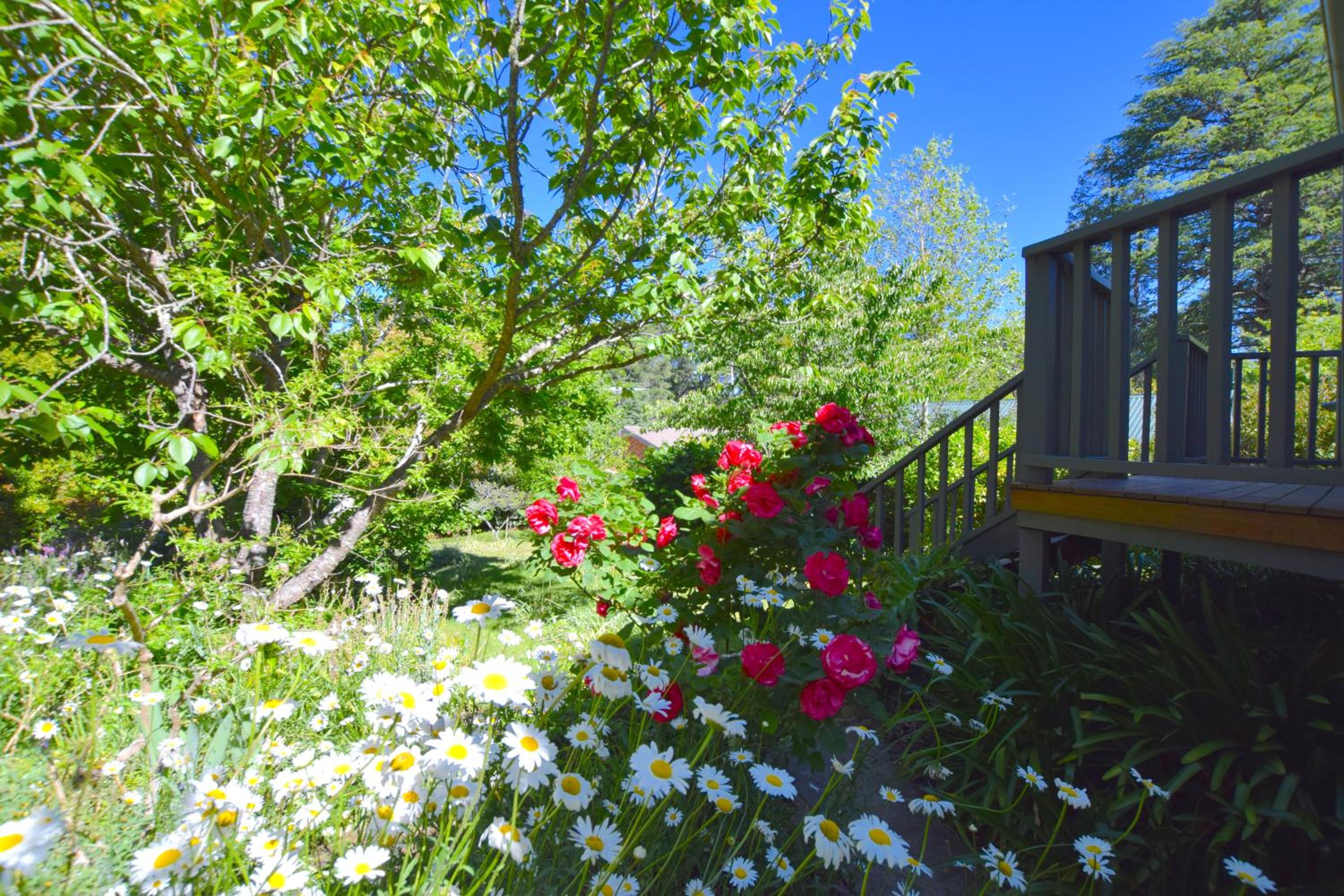 Mintie Cottage on Leura Mall