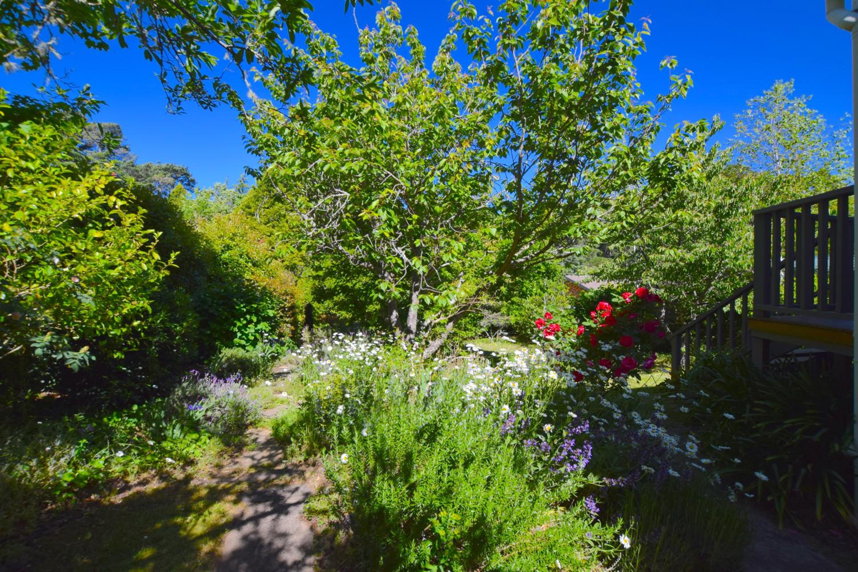 Mintie Cottage on Leura Mall