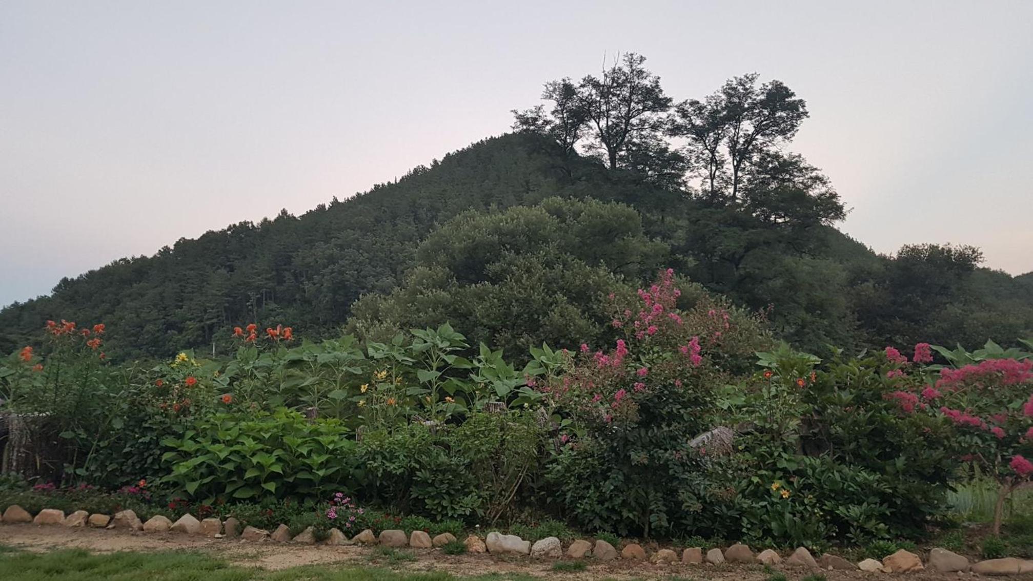 Moonlight House view 4