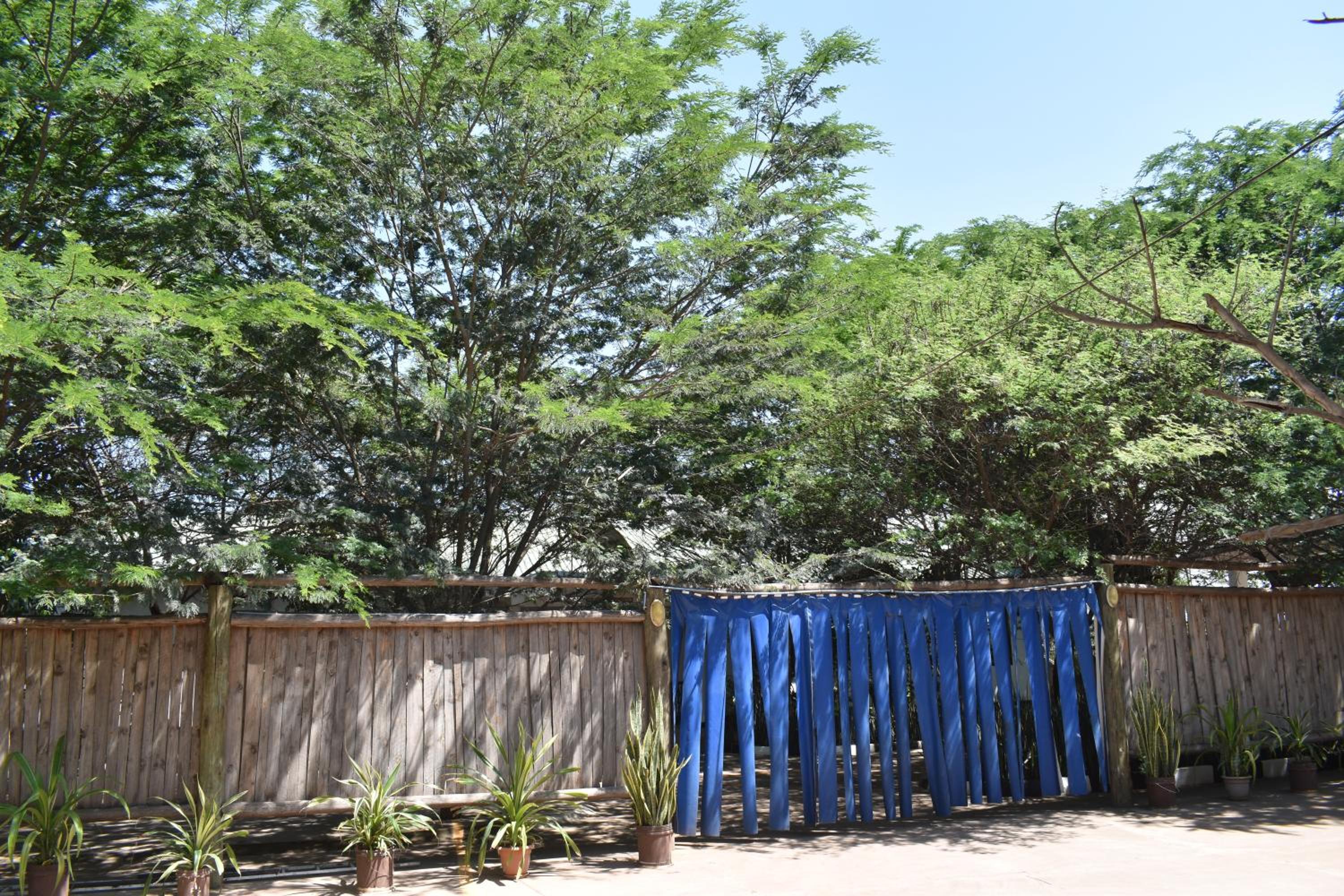 Rainbow Executive Lodge view 2