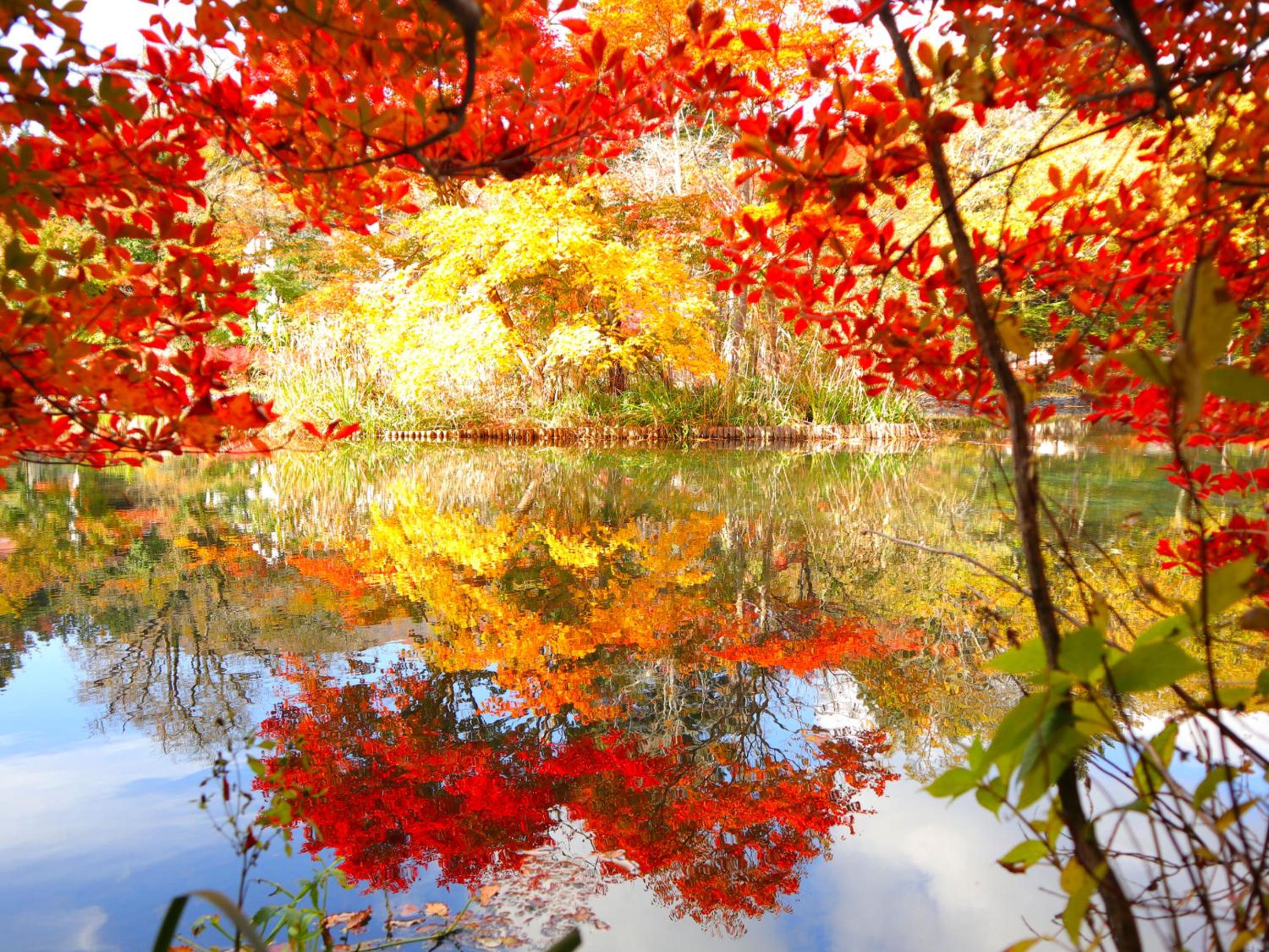 Le Grand Karuizawa Hotel and Resort