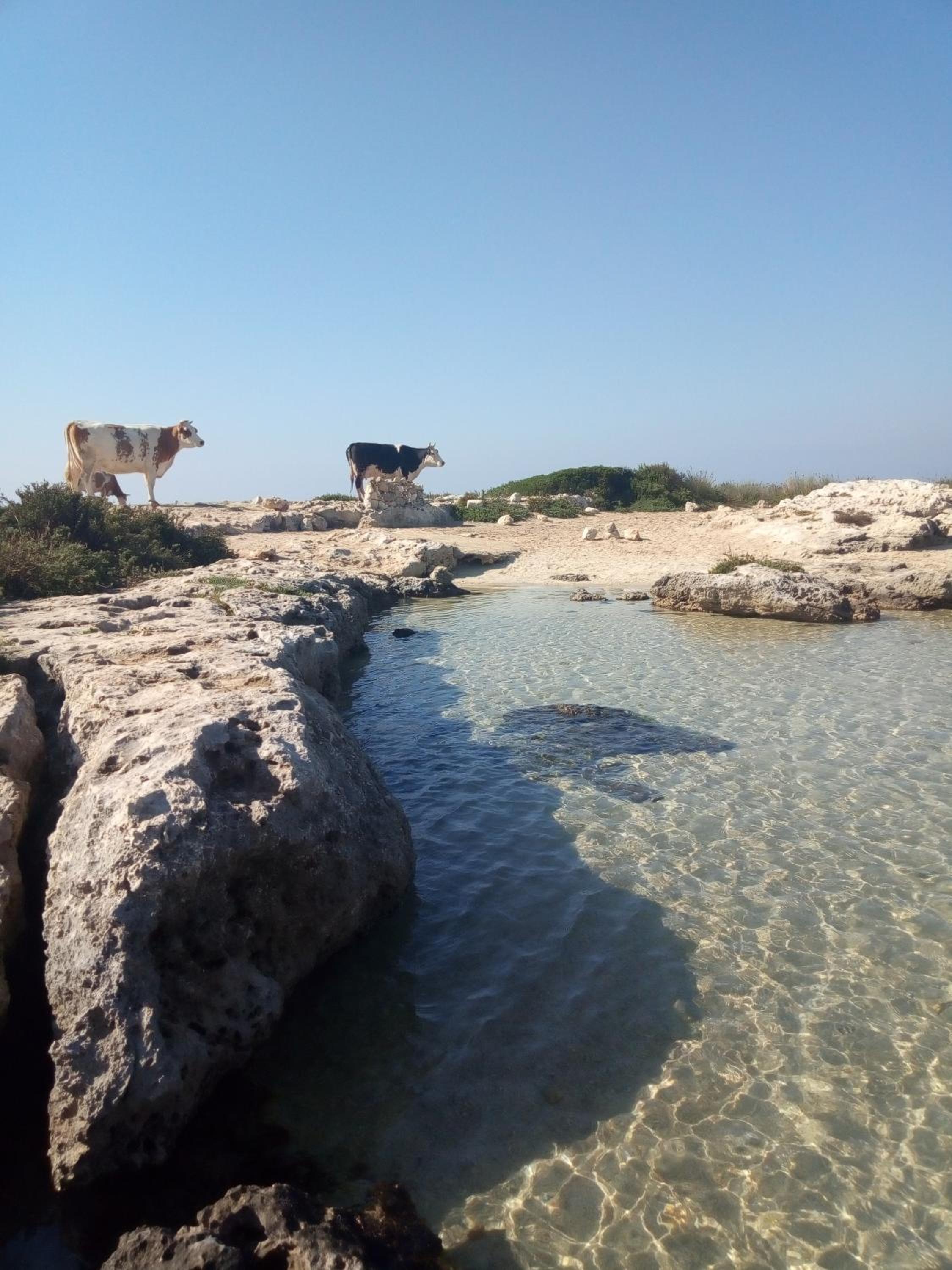 Villa Itaca, fotografía 2
