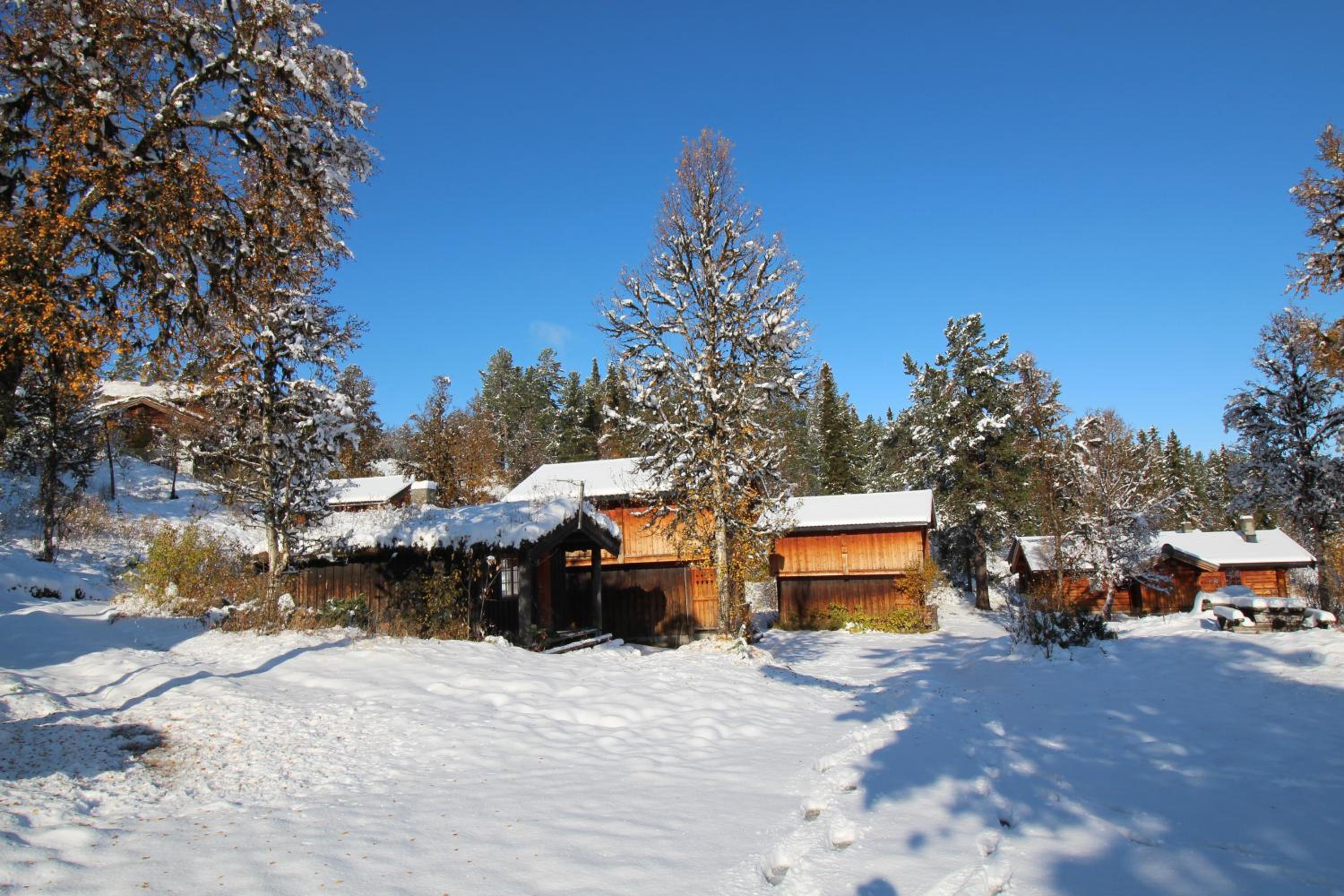 Photo 44