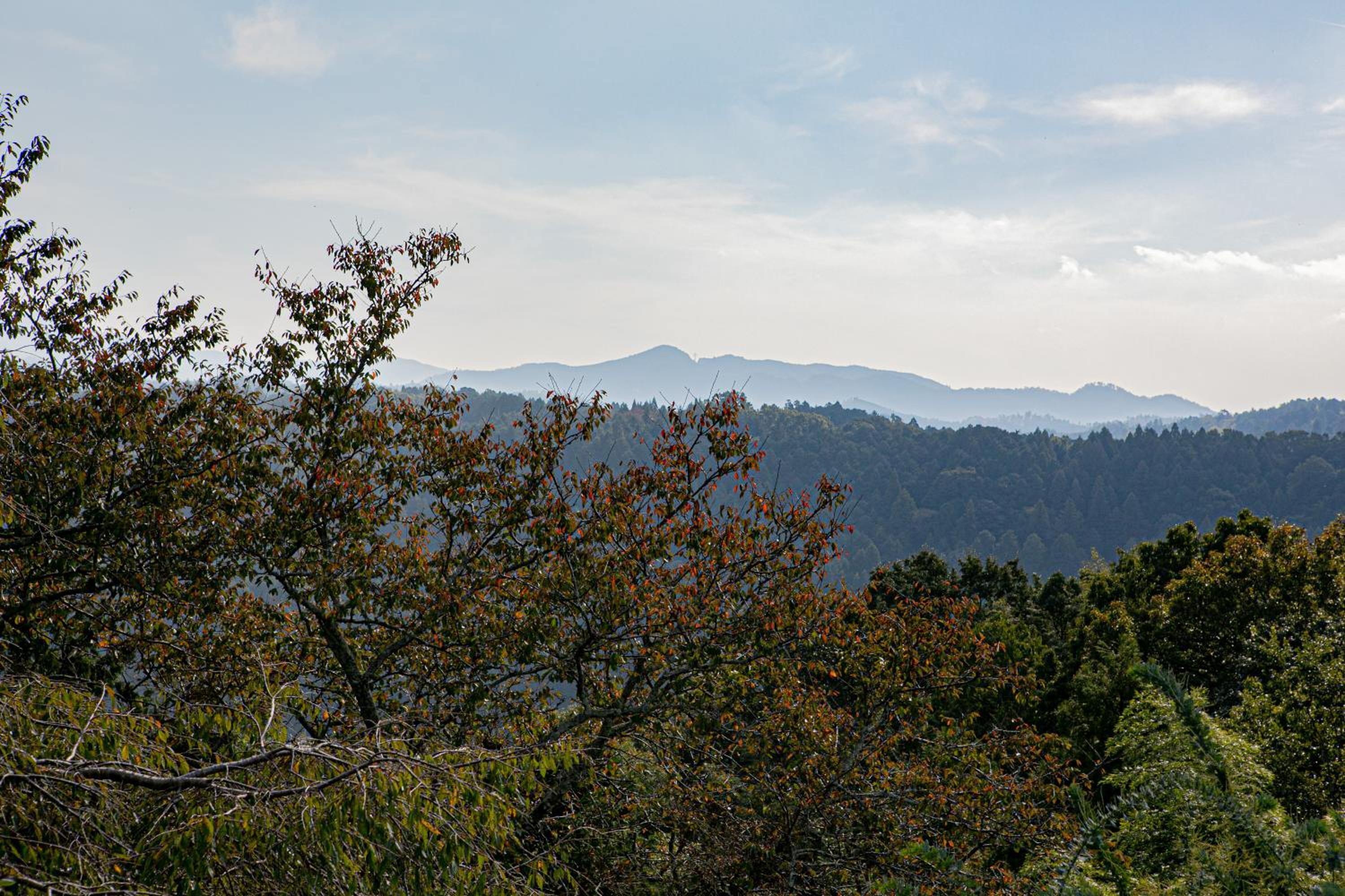 Houtouji Temple view 3