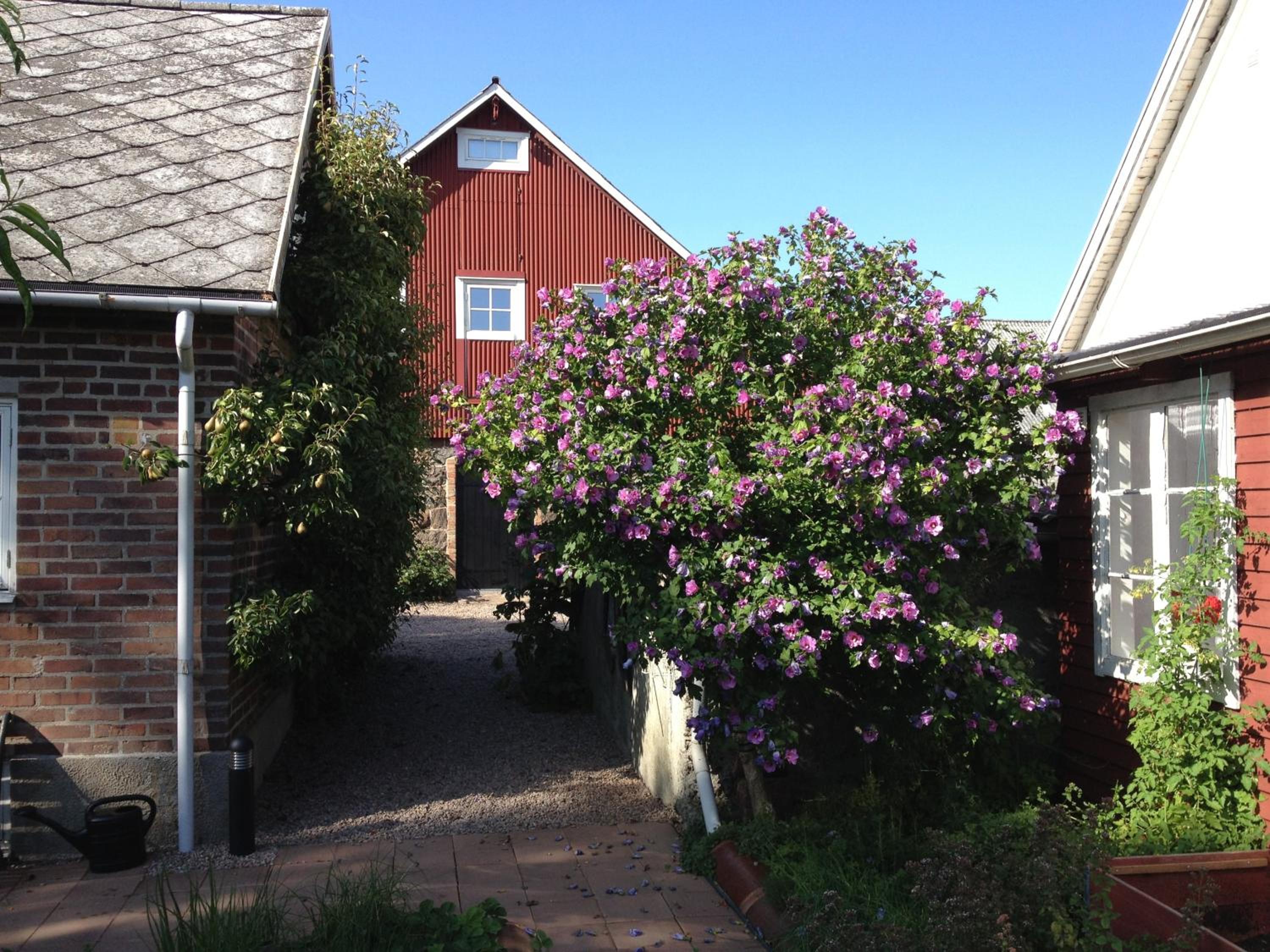 Photo 21