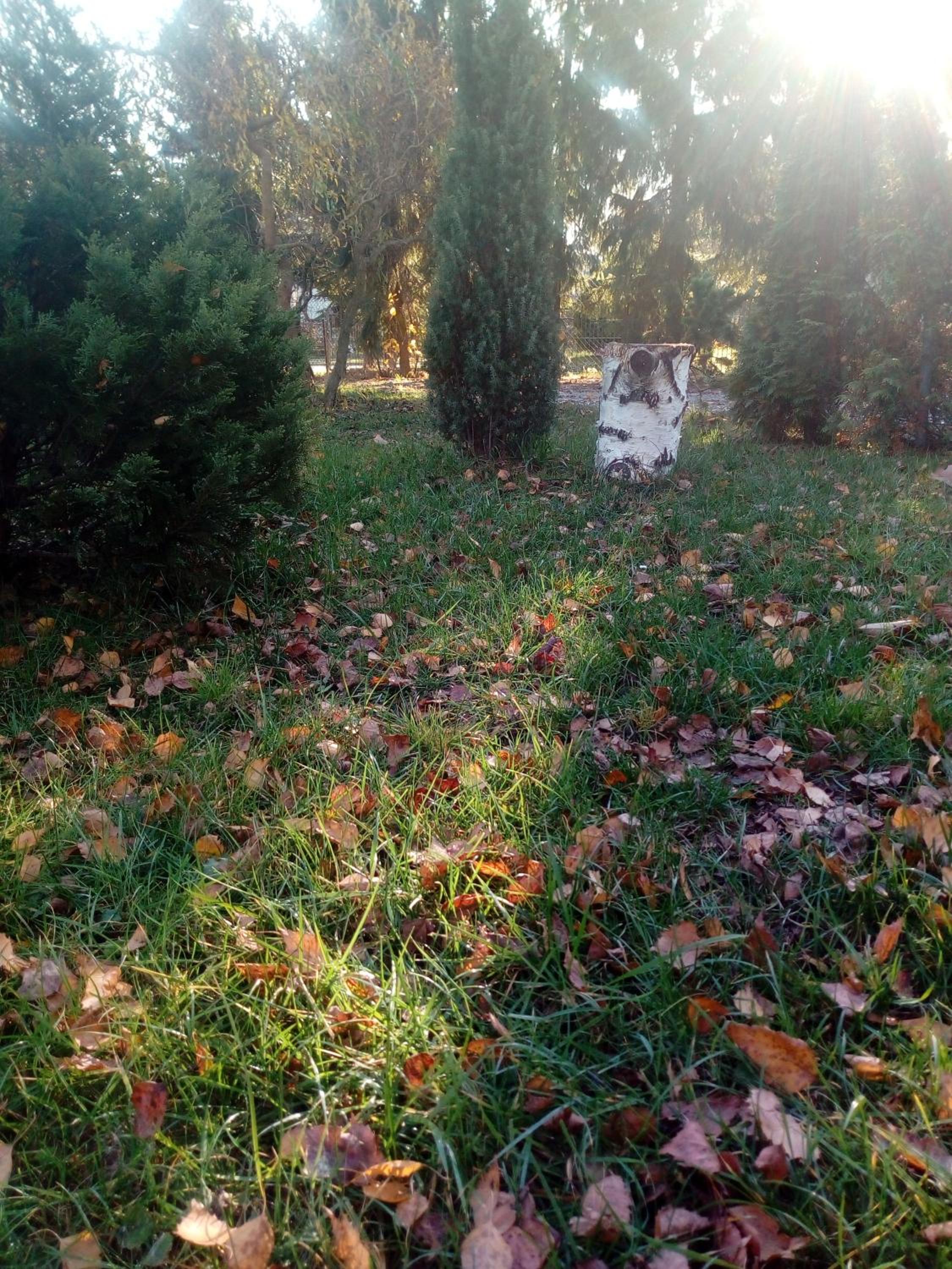 Photo 23