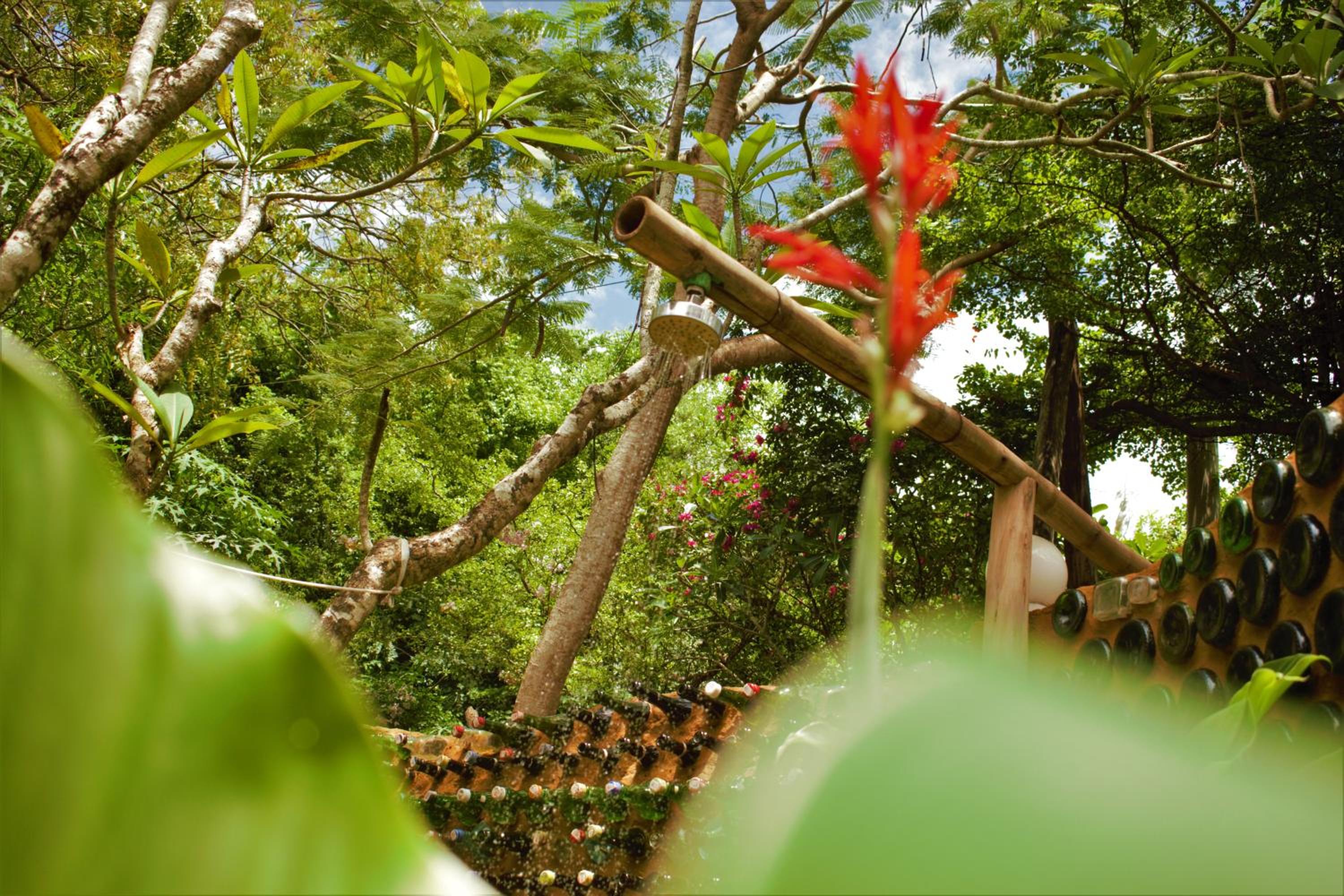 Distant Relatives Ecolodge & Backpackers