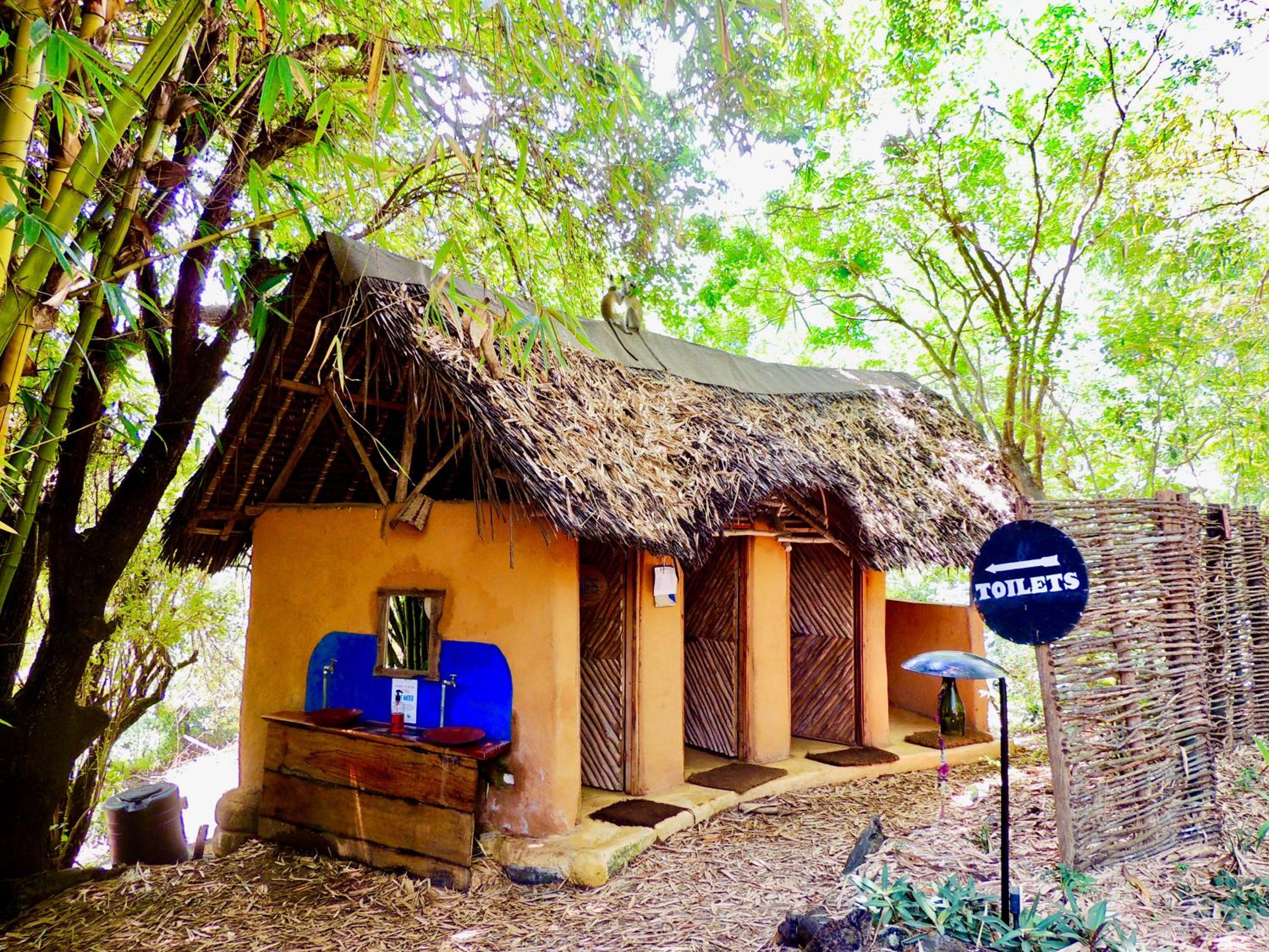 Distant Relatives Ecolodge & Backpackers