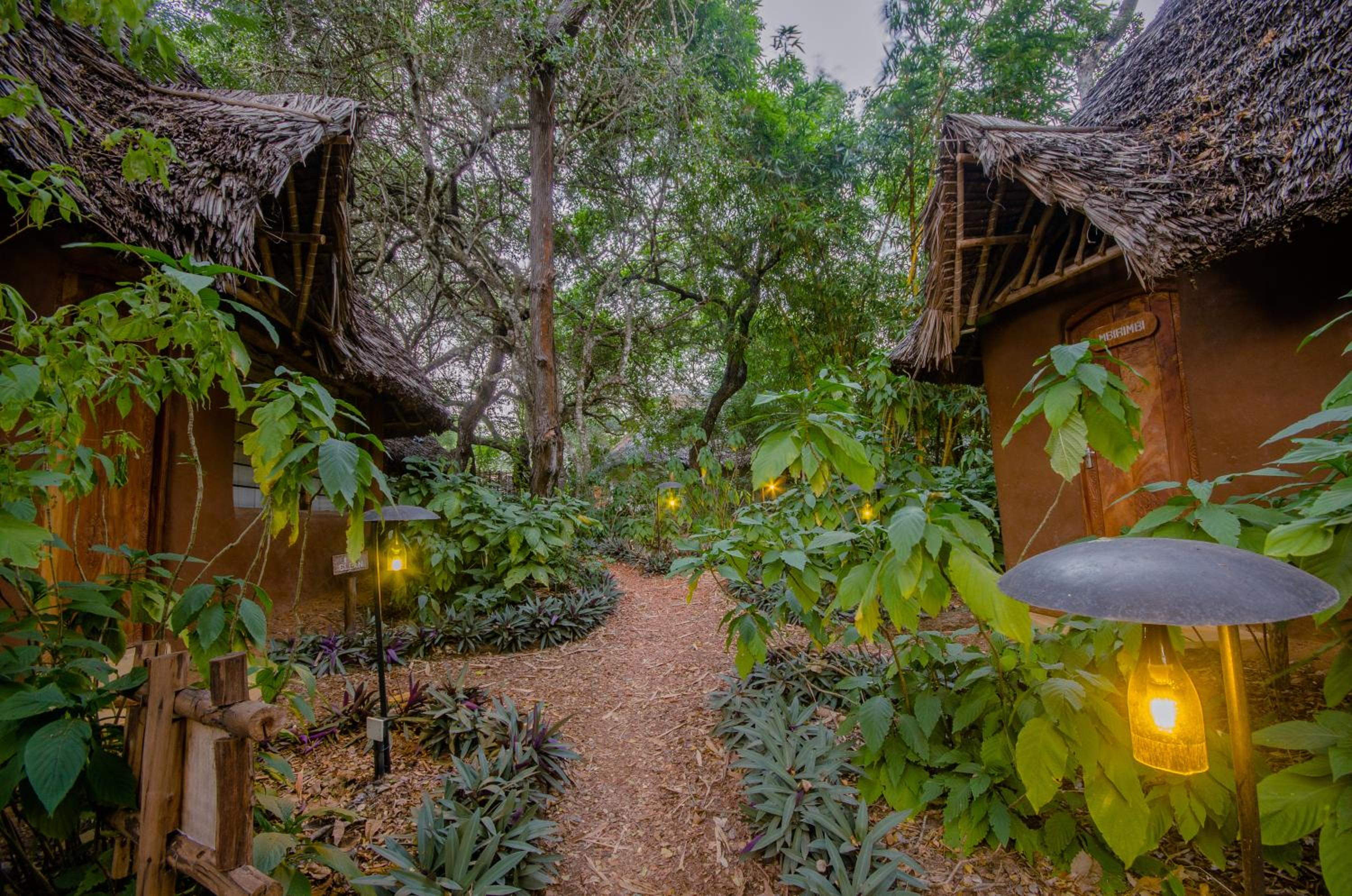 Distant Relatives Ecolodge & Backpackers